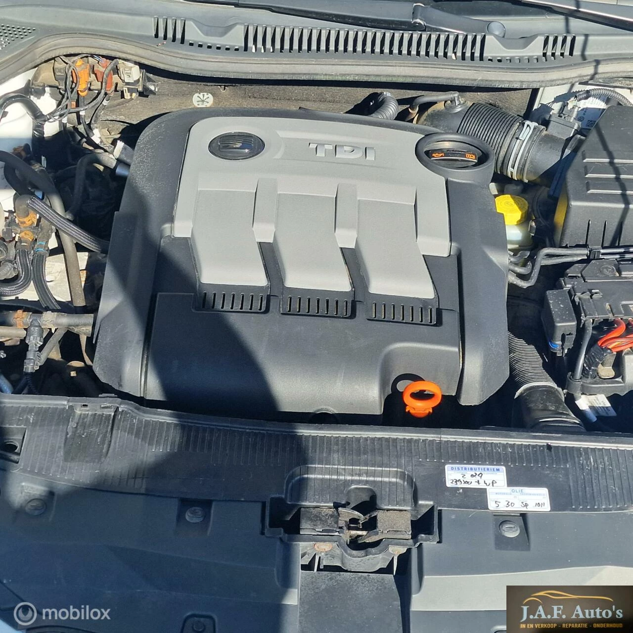 Hoofdafbeelding SEAT Ibiza