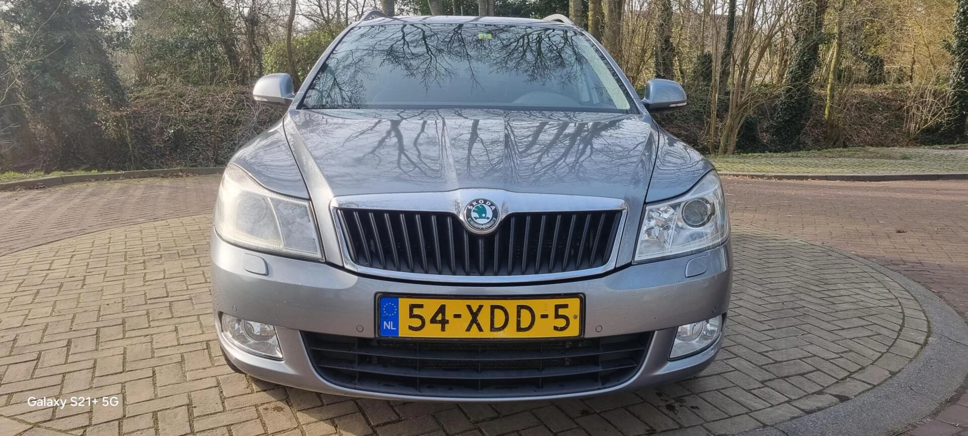 Hoofdafbeelding Škoda Octavia
