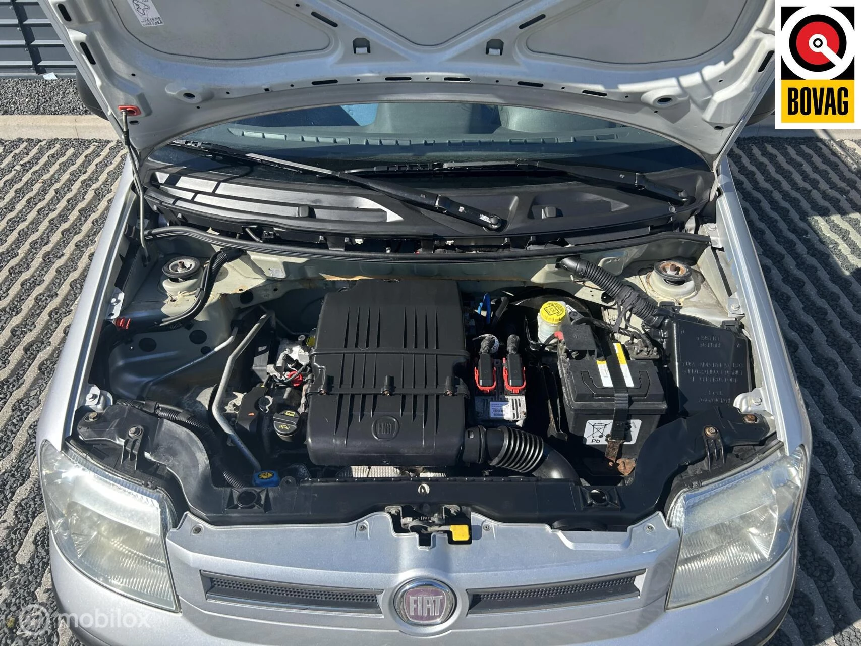 Hoofdafbeelding Fiat Panda