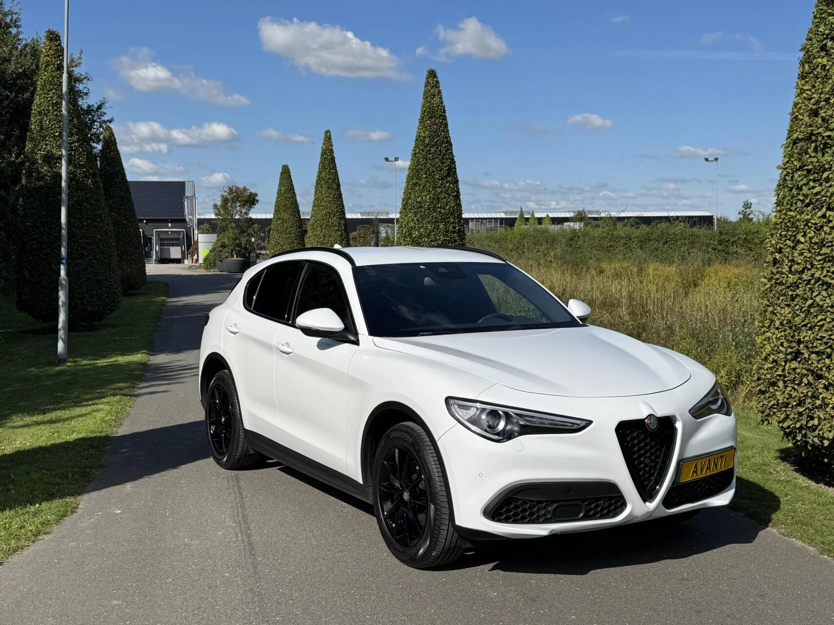 Hoofdafbeelding Alfa Romeo Stelvio