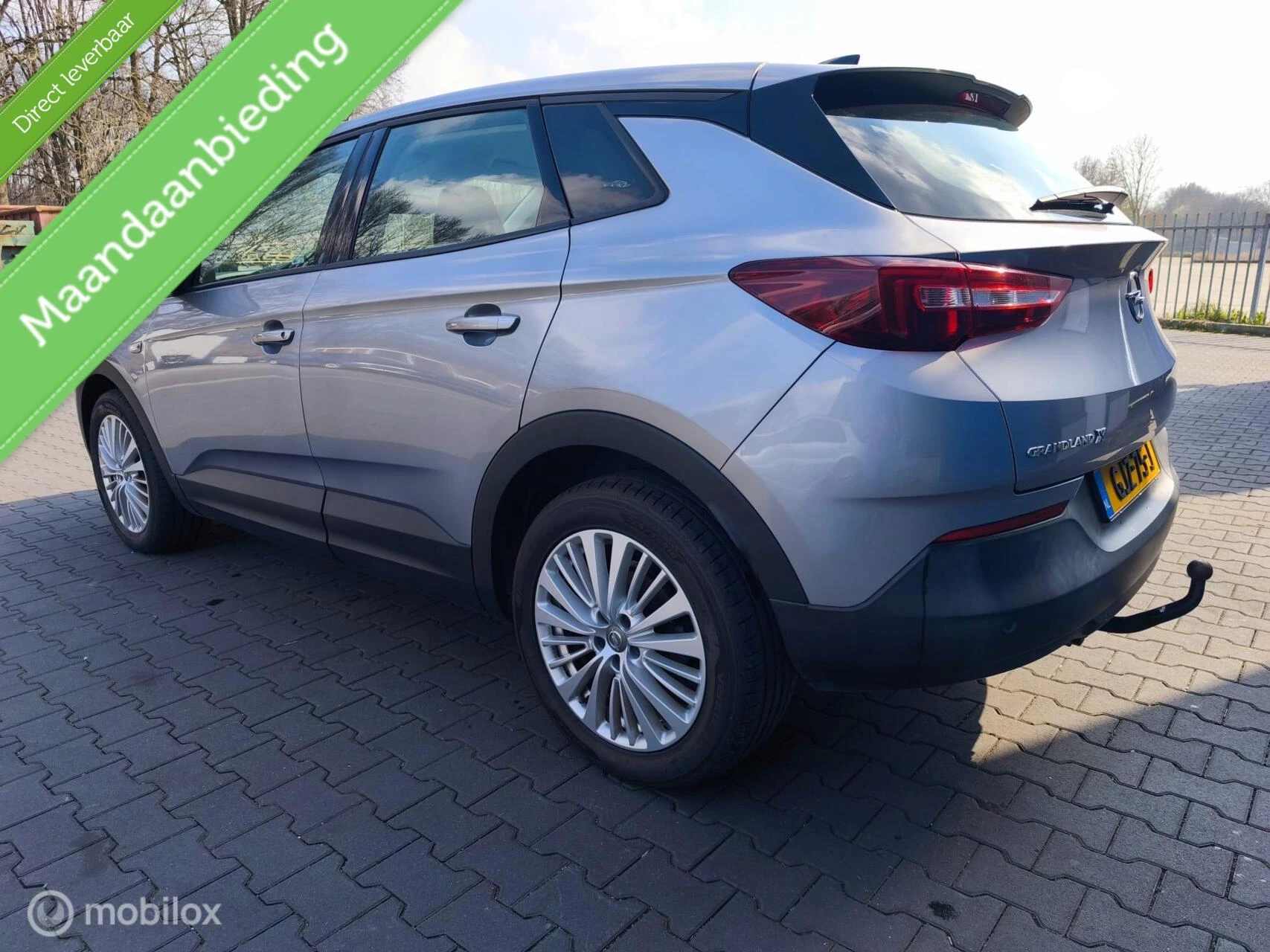 Hoofdafbeelding Opel Grandland X