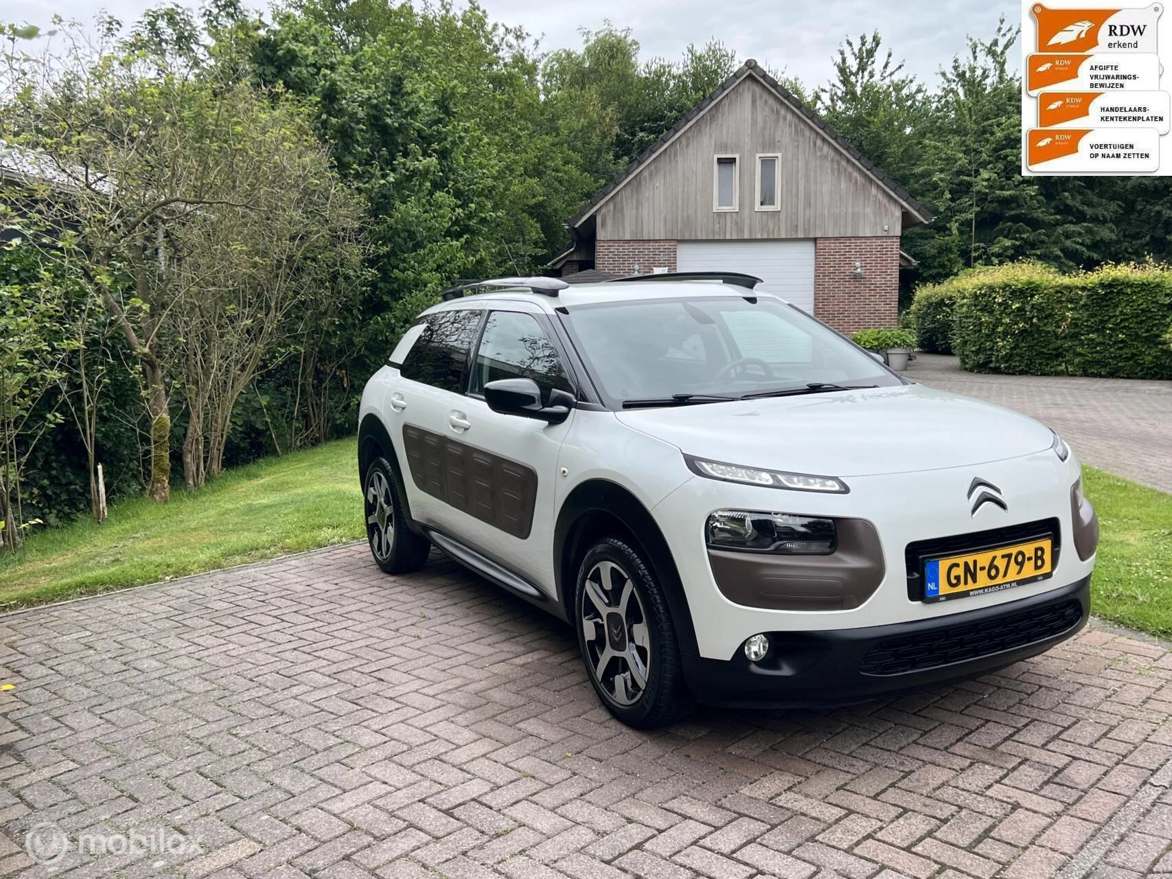 Hoofdafbeelding Citroën C4 Cactus