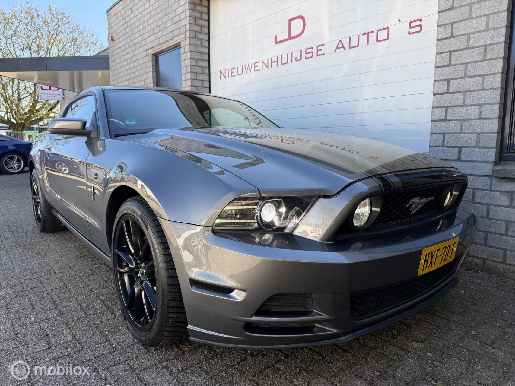 Hoofdafbeelding Ford Mustang