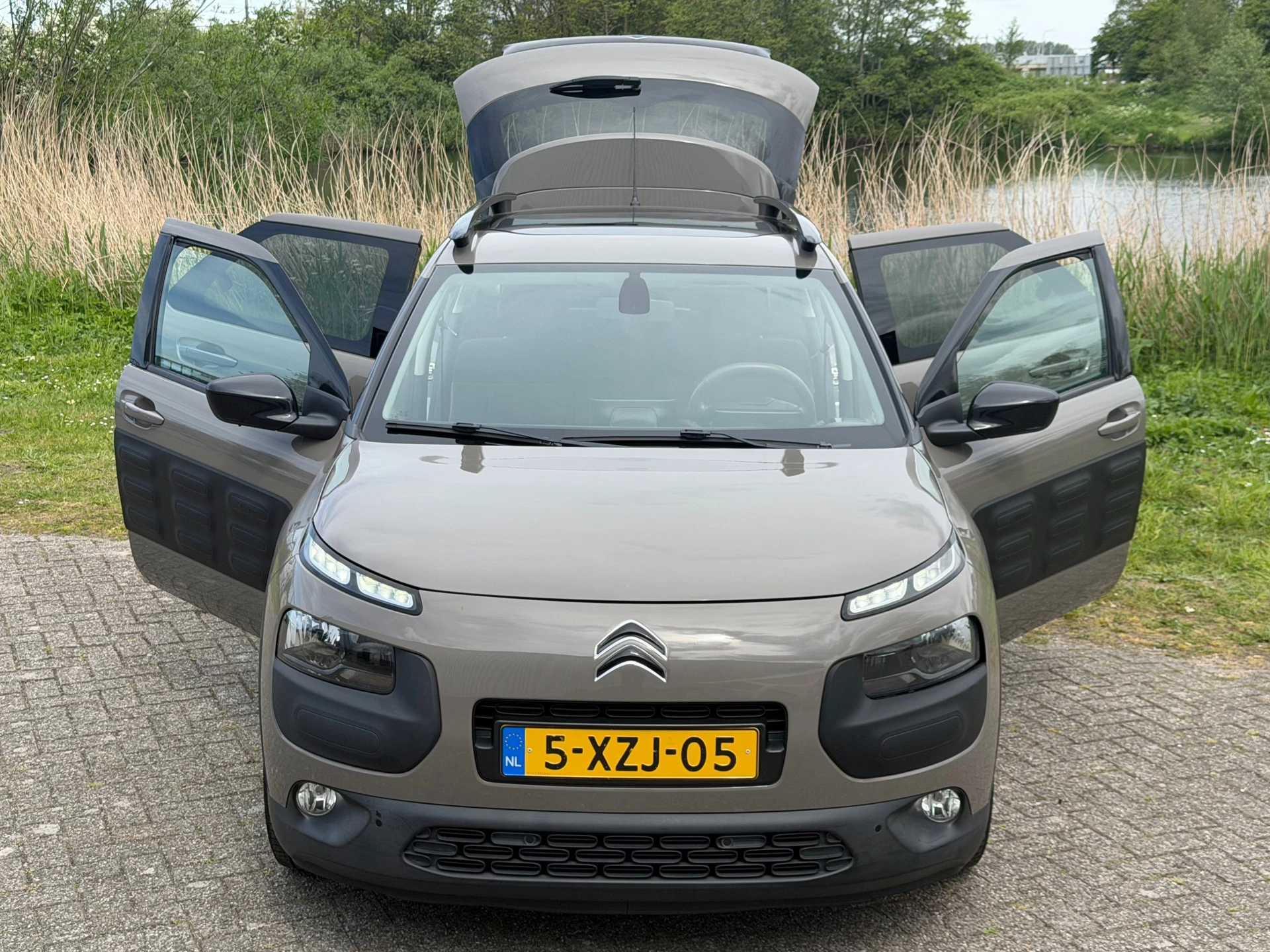 Hoofdafbeelding Citroën C4 Cactus