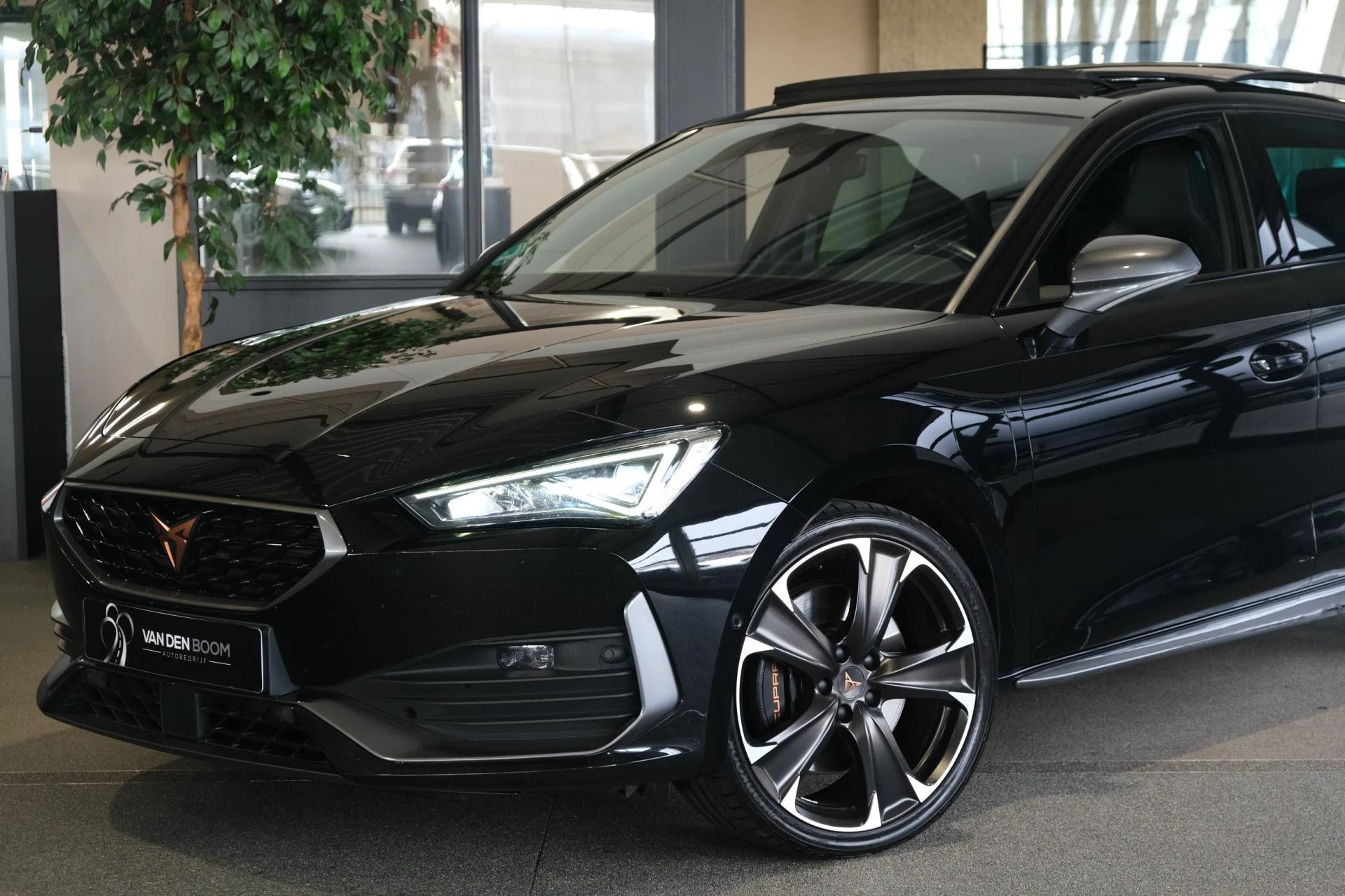 Hoofdafbeelding CUPRA Leon