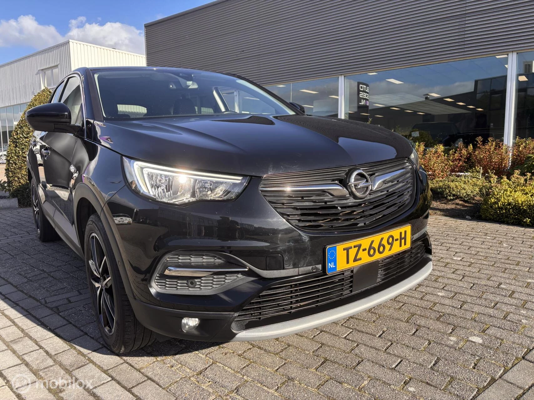 Hoofdafbeelding Opel Grandland X