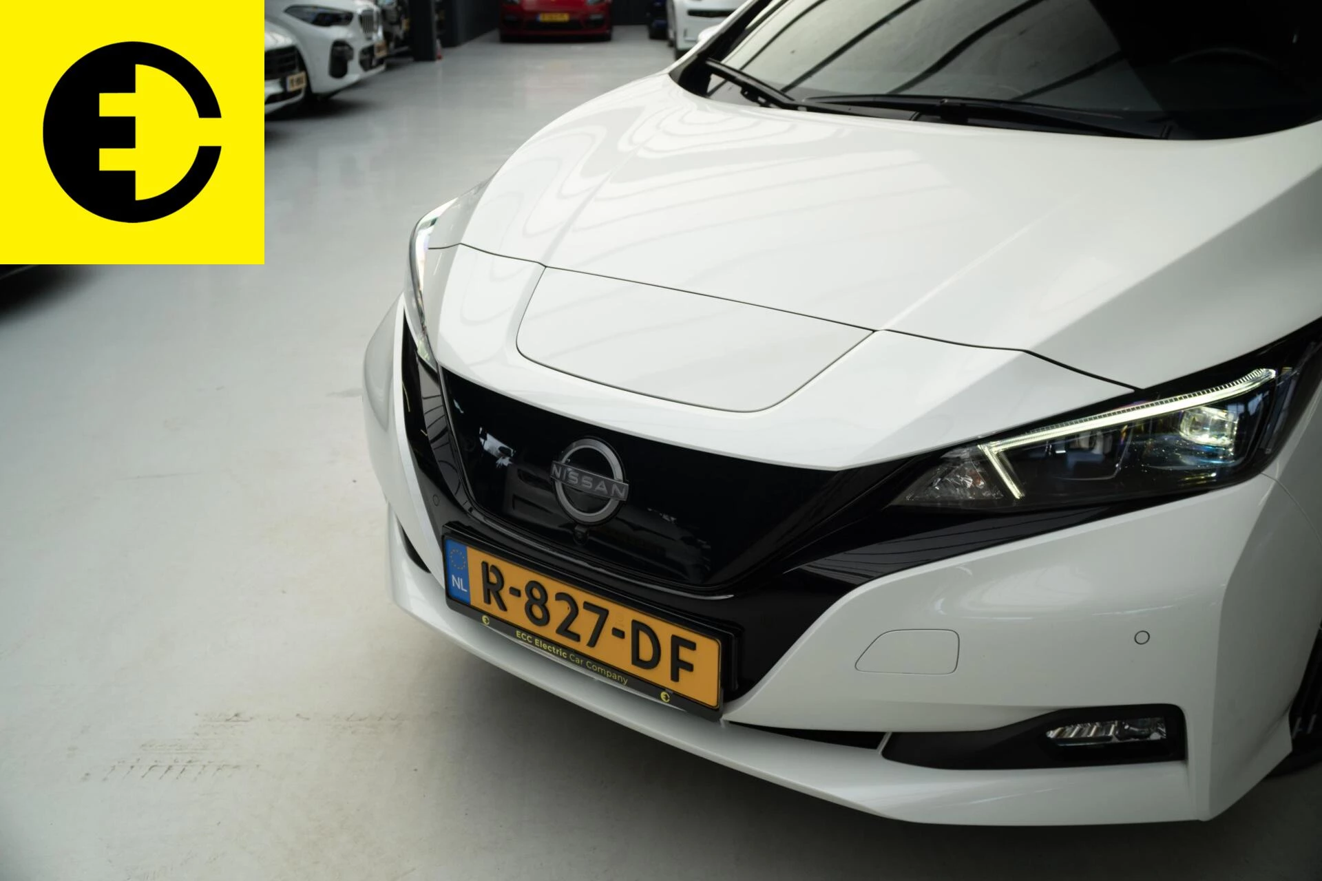 Hoofdafbeelding Nissan Leaf