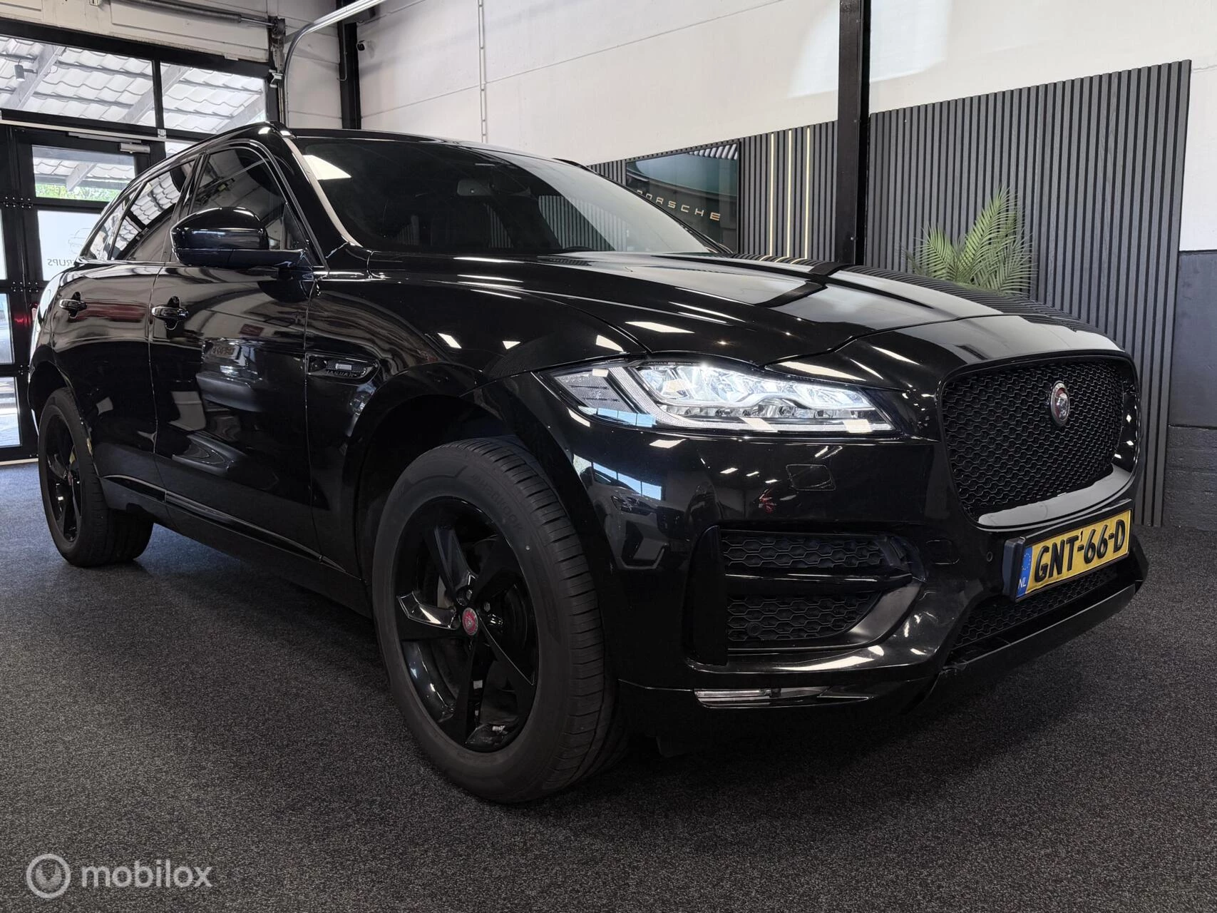 Hoofdafbeelding Jaguar F-PACE