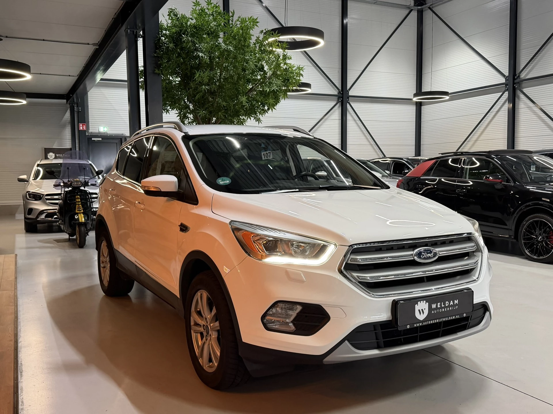 Hoofdafbeelding Ford Kuga