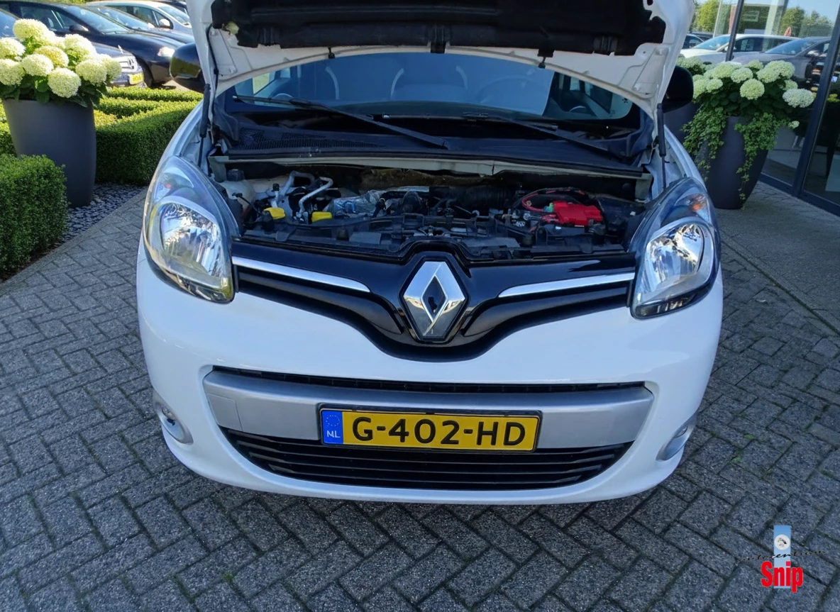 Hoofdafbeelding Renault Kangoo