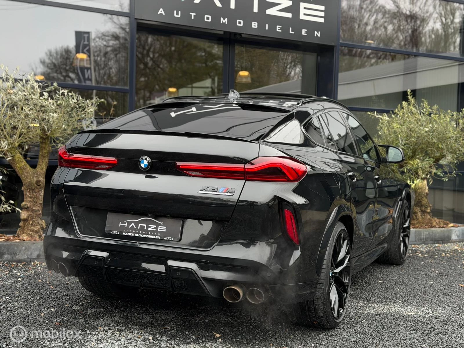 Hoofdafbeelding BMW X6