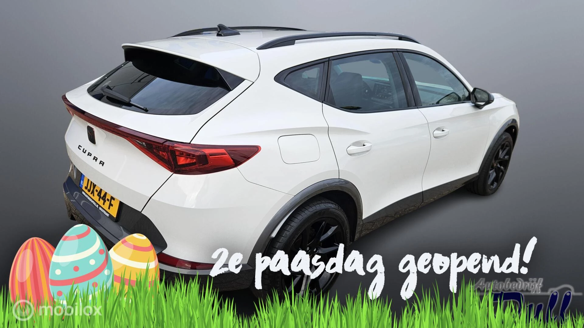 Hoofdafbeelding CUPRA Formentor