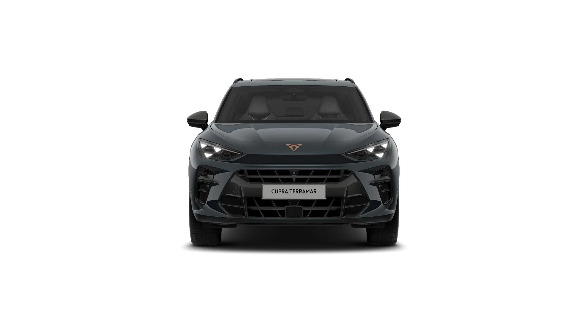 Hoofdafbeelding CUPRA Terramar