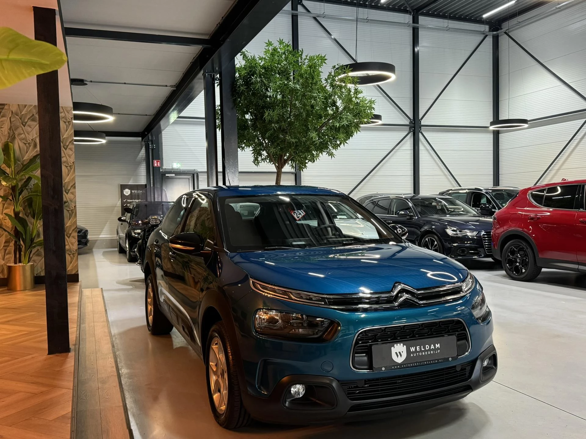 Hoofdafbeelding Citroën C4 Cactus