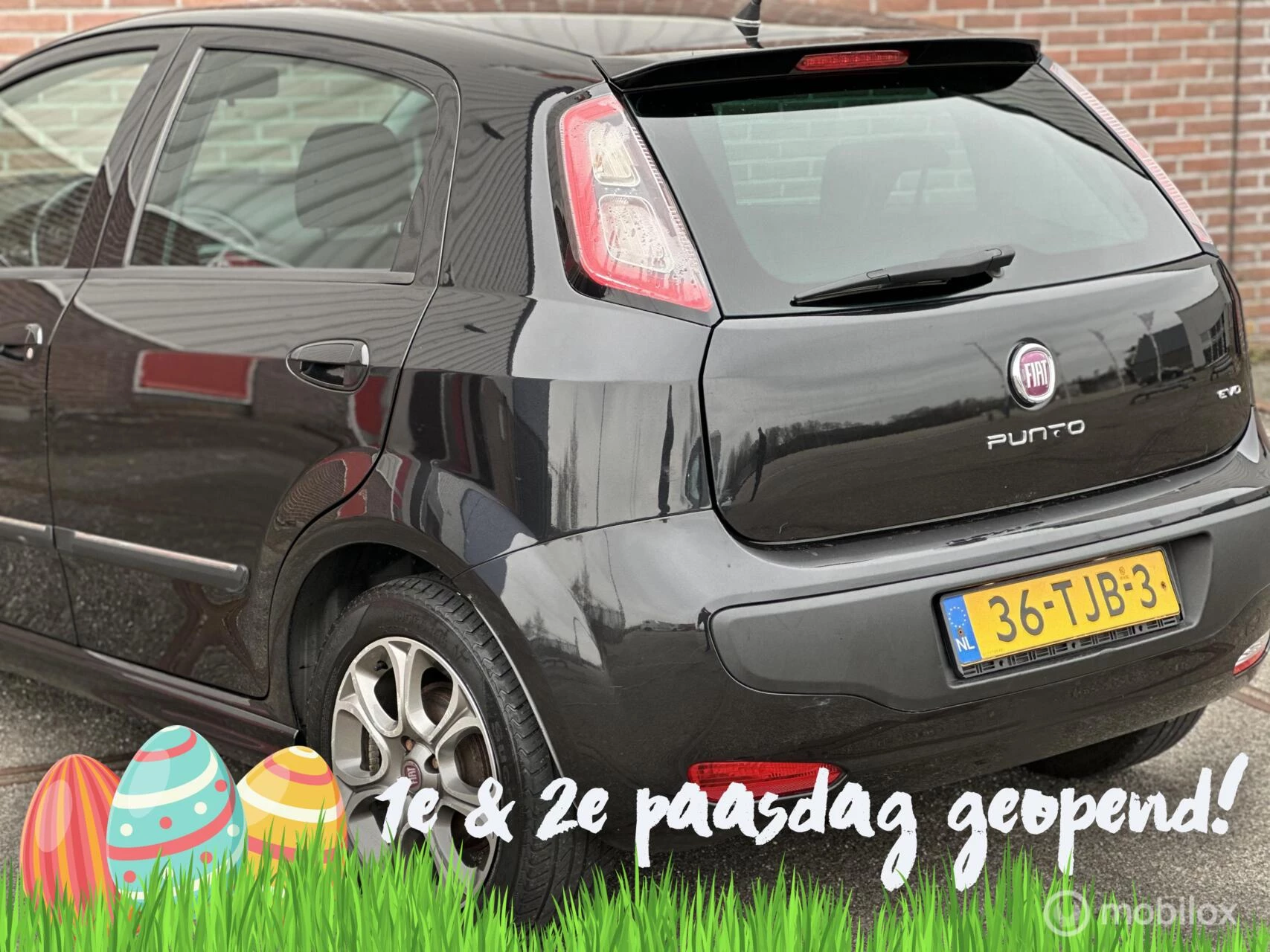 Hoofdafbeelding Fiat Punto