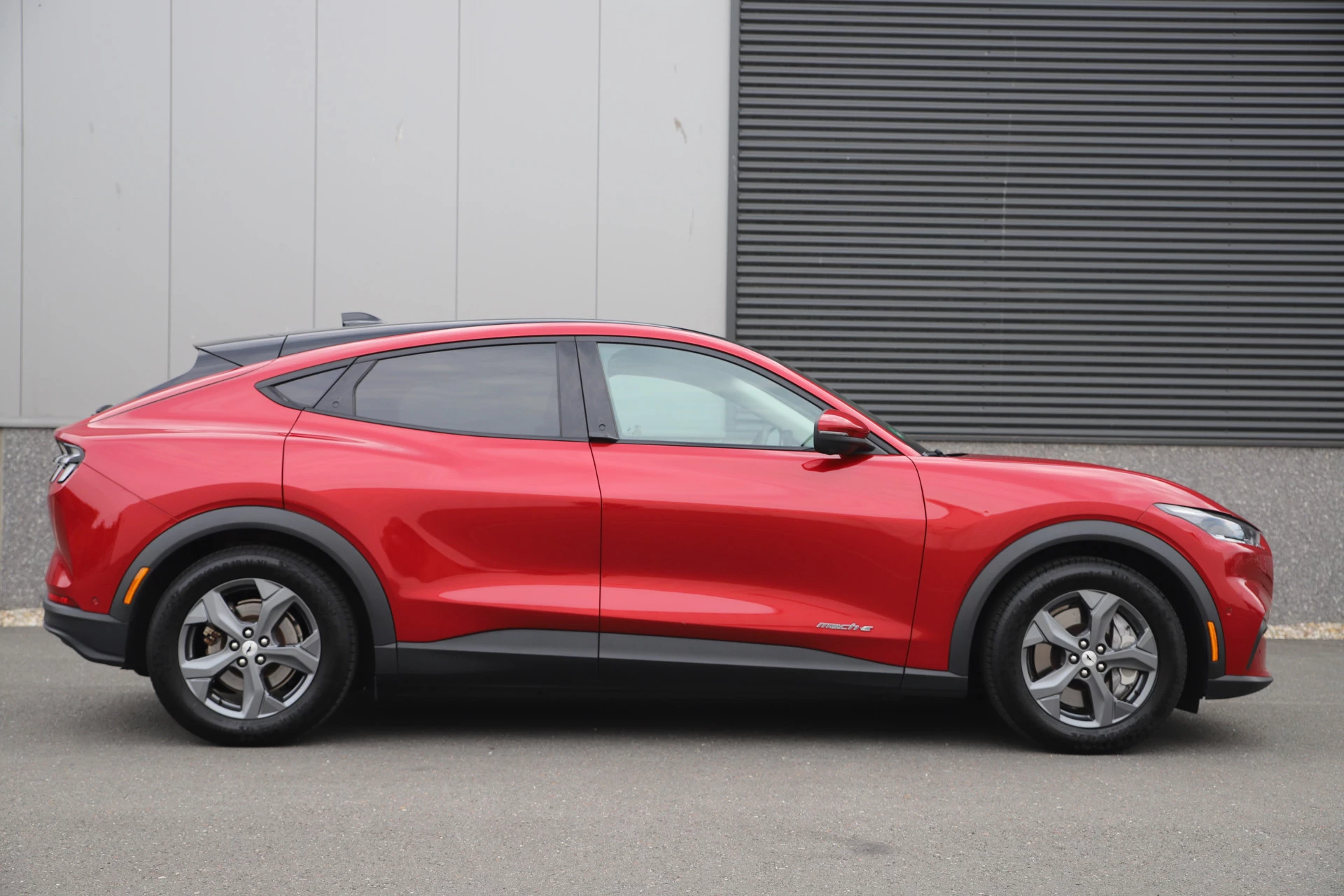 Hoofdafbeelding Ford Mustang Mach-E
