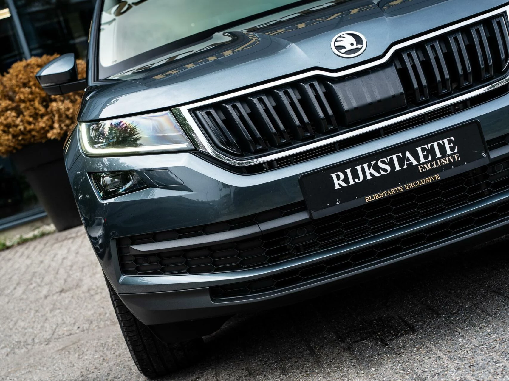 Hoofdafbeelding Škoda Kodiaq