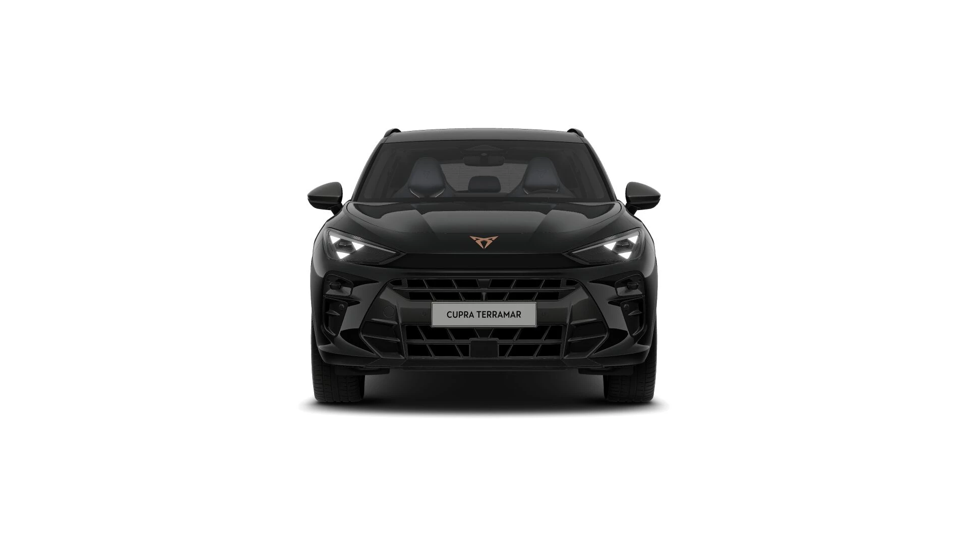 Hoofdafbeelding CUPRA Terramar