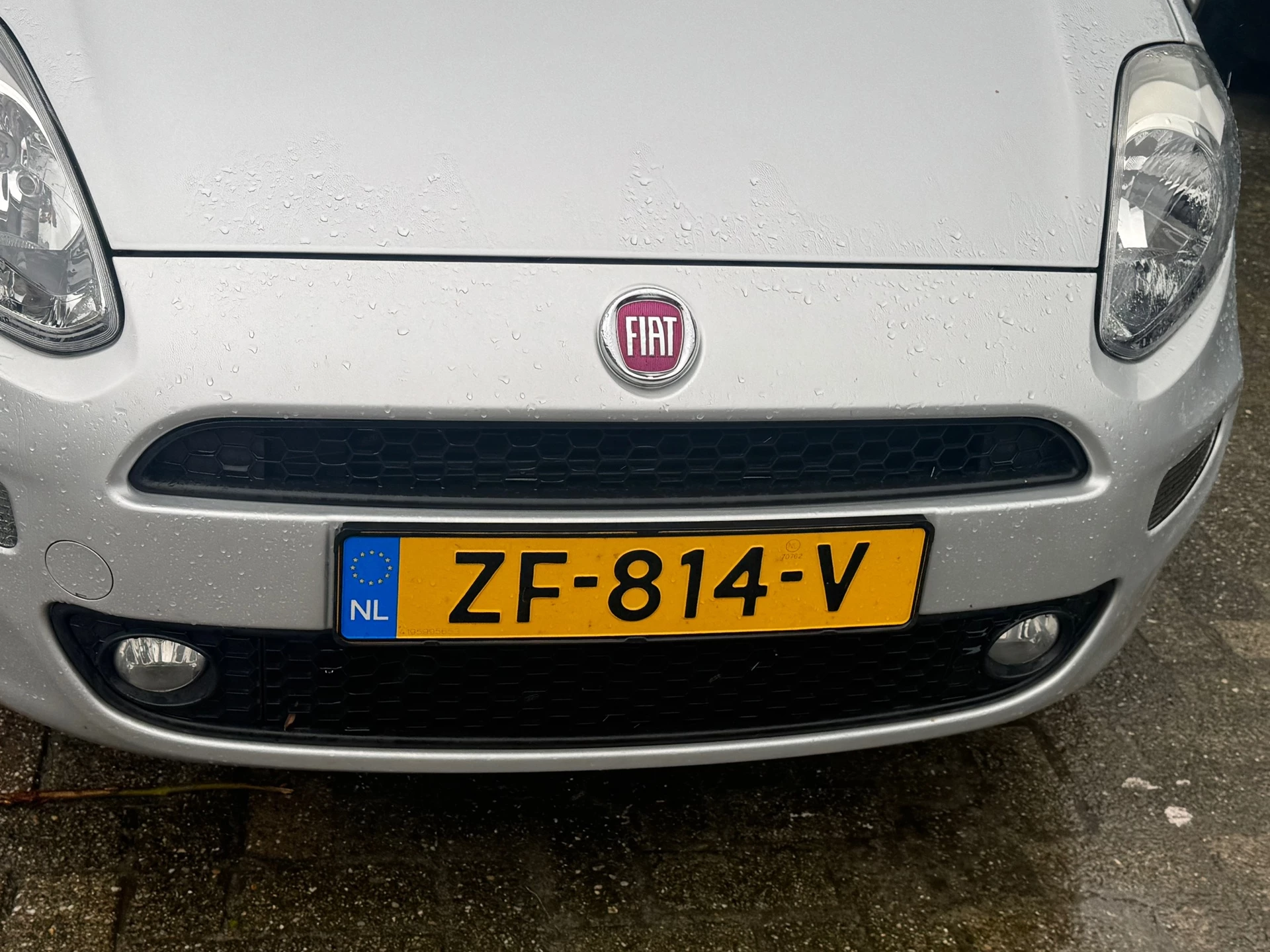 Hoofdafbeelding Fiat Punto