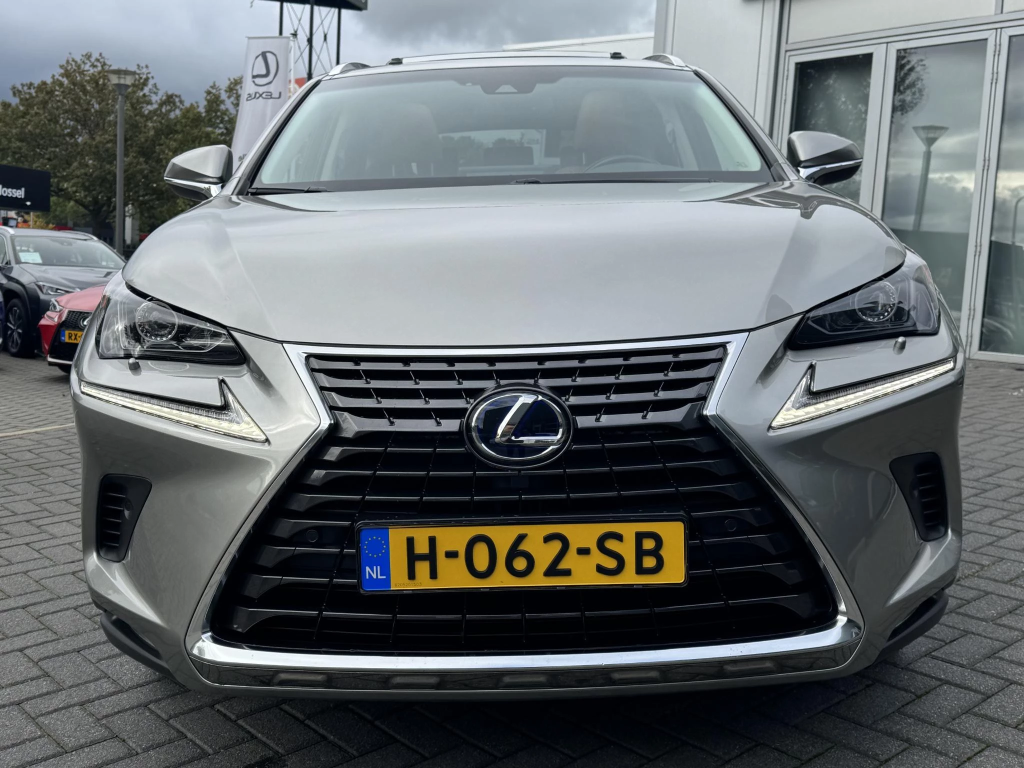 Hoofdafbeelding Lexus NX