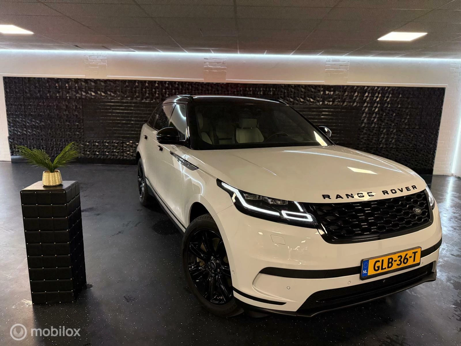 Hoofdafbeelding Land Rover Range Rover Velar