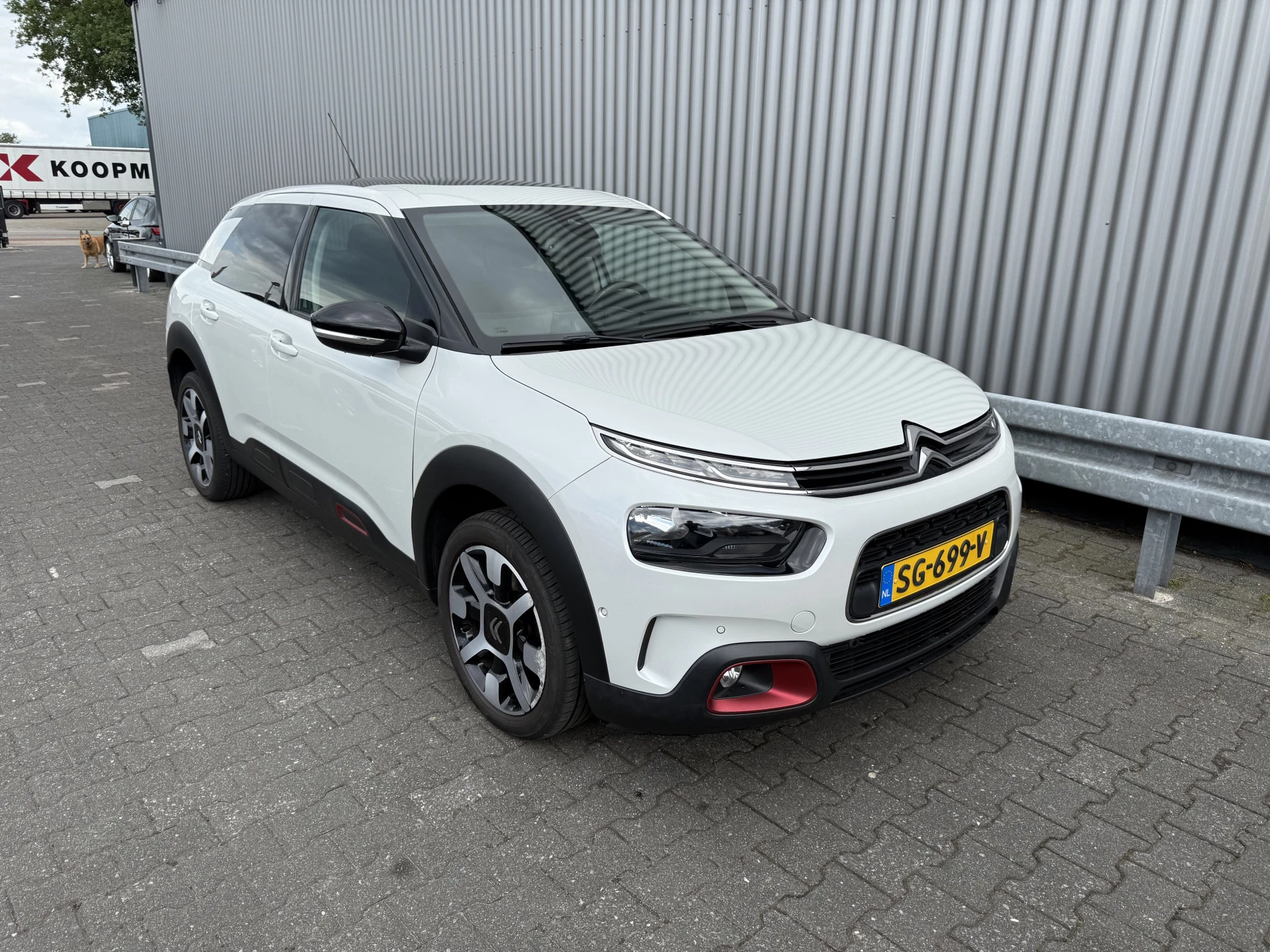 Hoofdafbeelding Citroën C4 Cactus