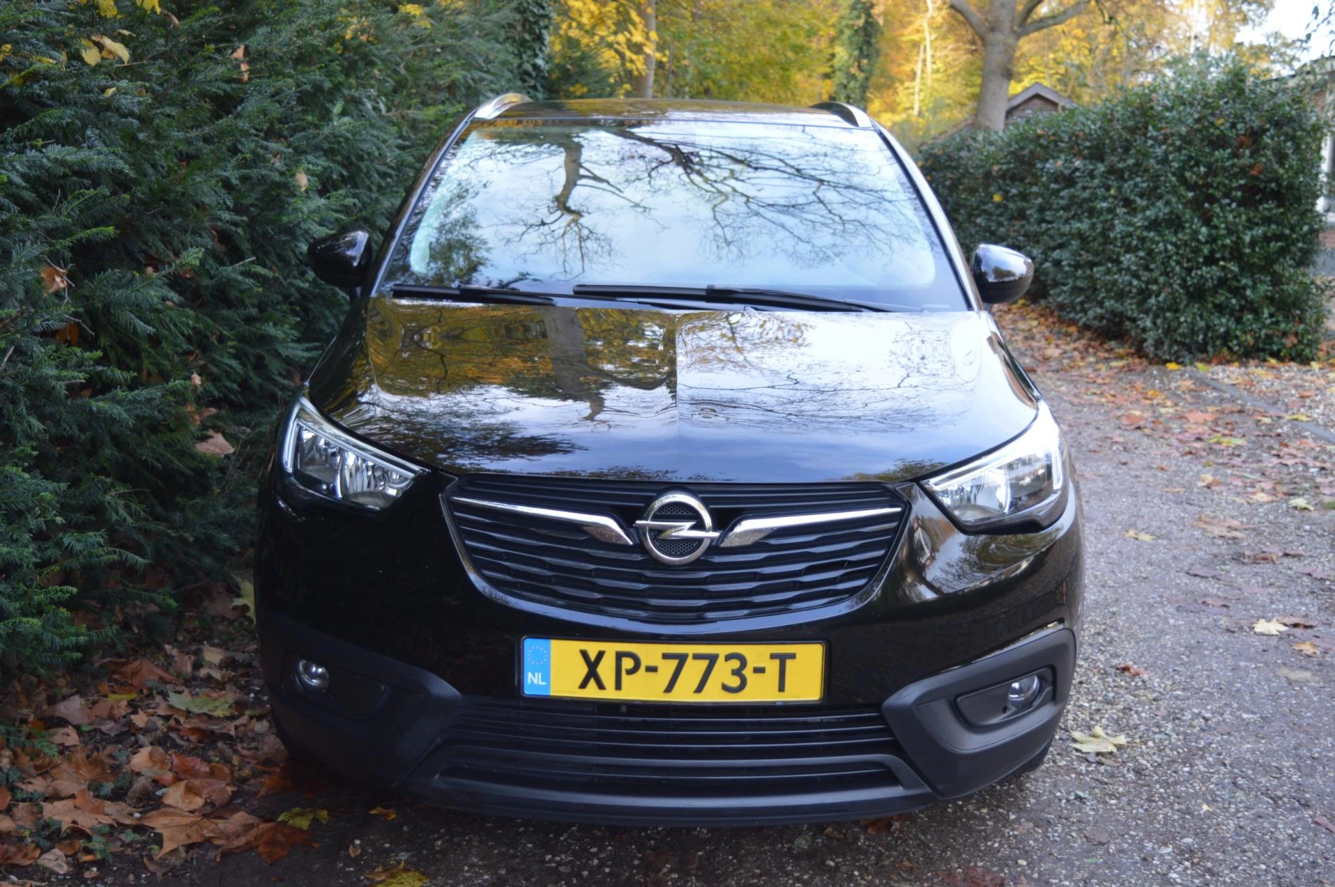 Hoofdafbeelding Opel Crossland X