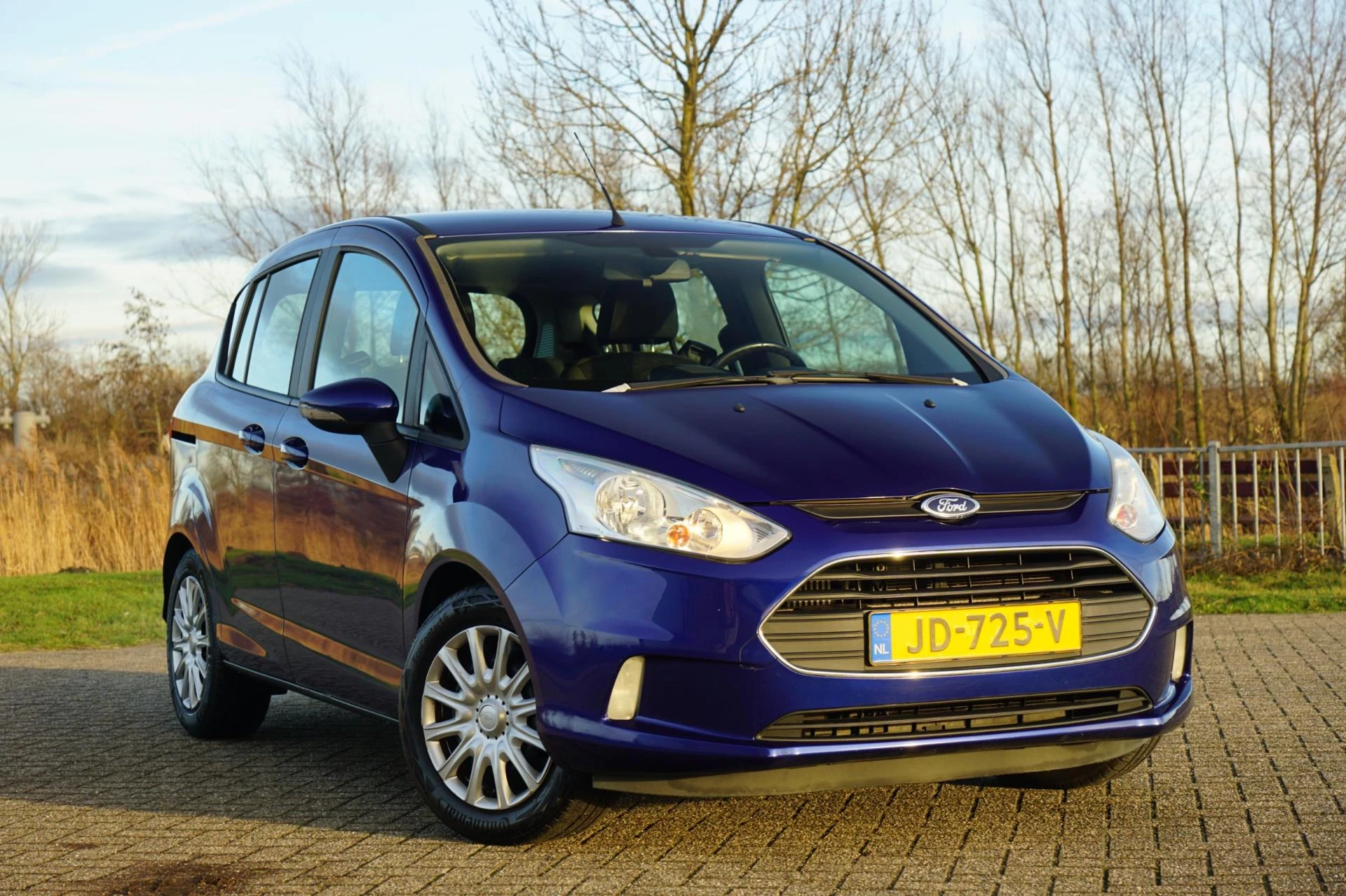 Hoofdafbeelding Ford B-MAX