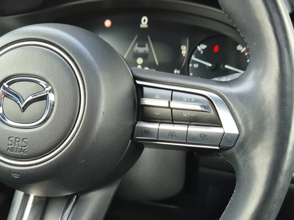 Hoofdafbeelding Mazda MX-30