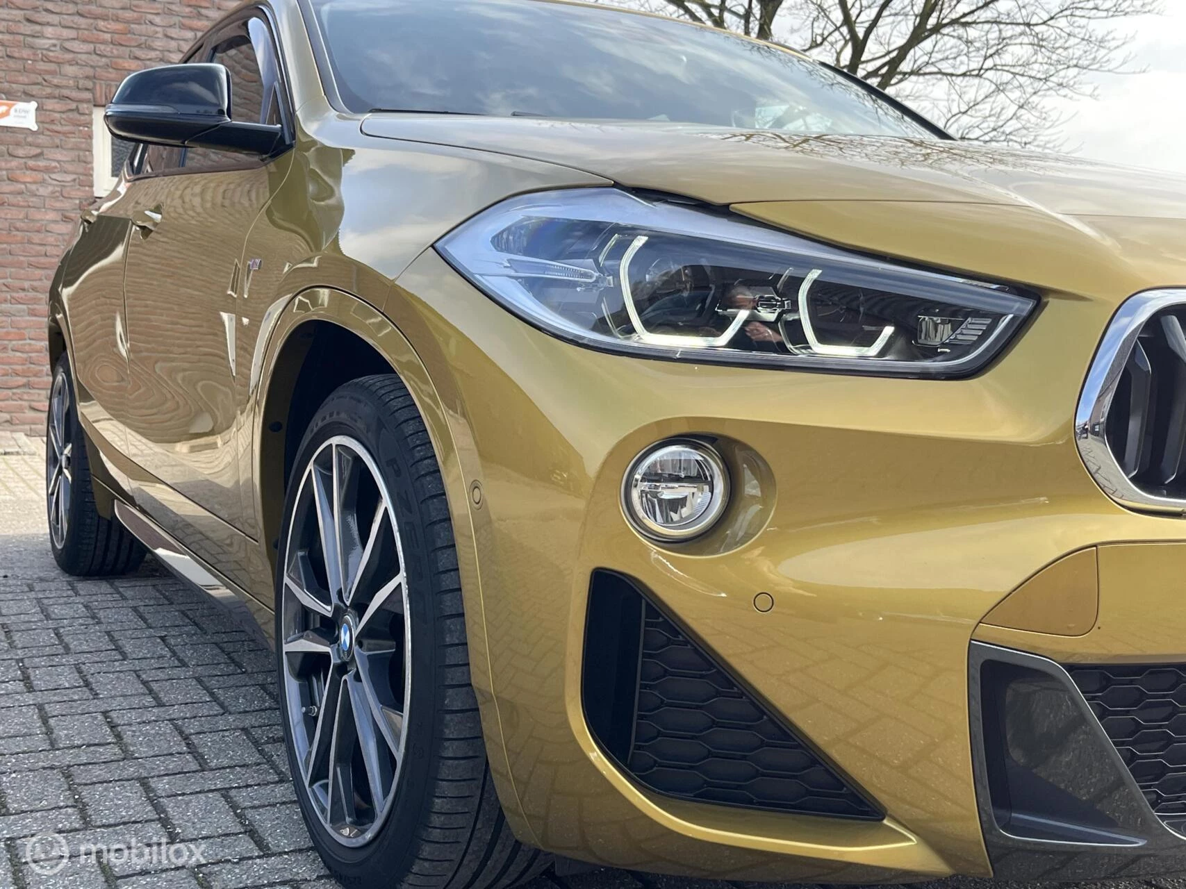 Hoofdafbeelding BMW X2