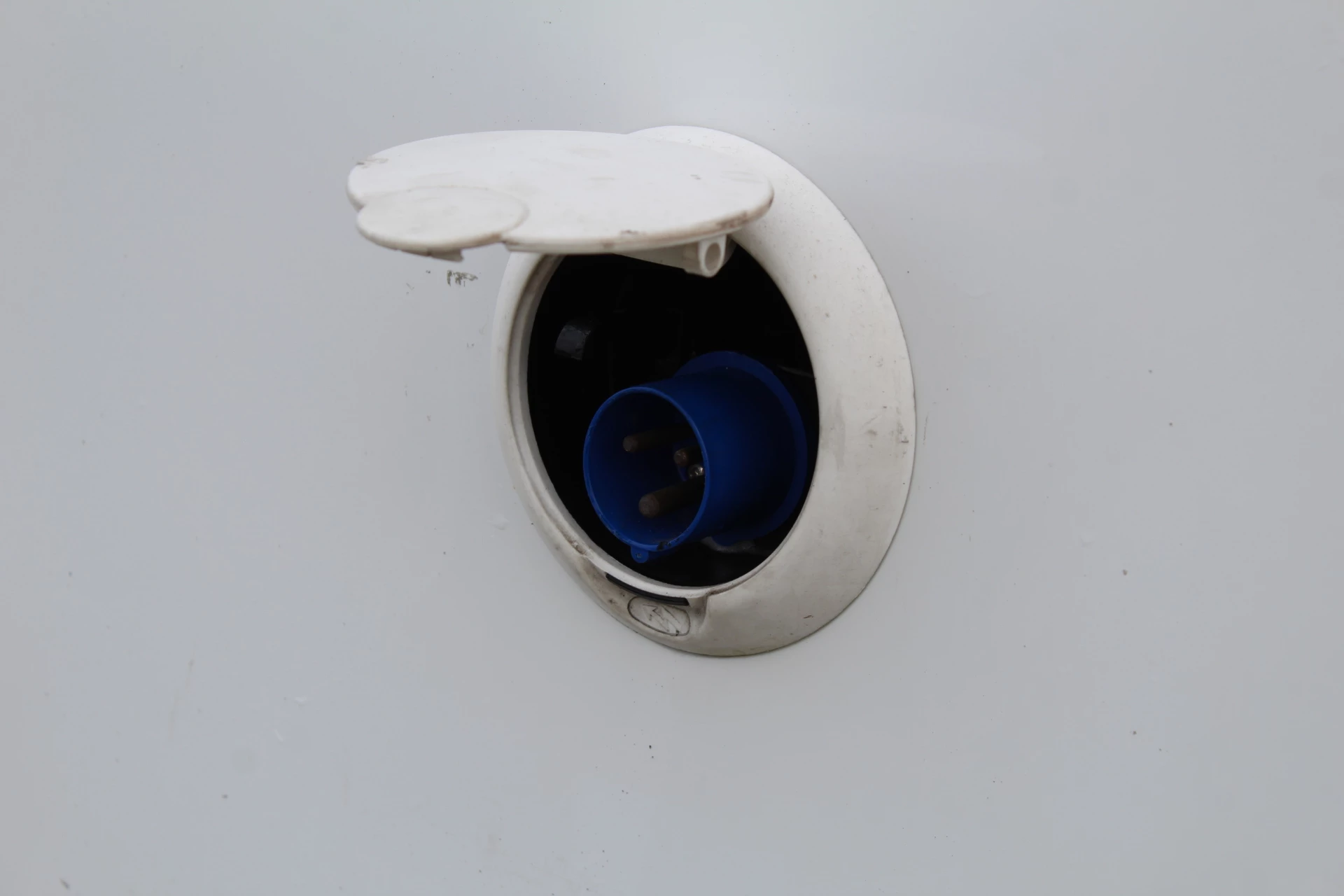 Hoofdafbeelding McLouis YEARLING