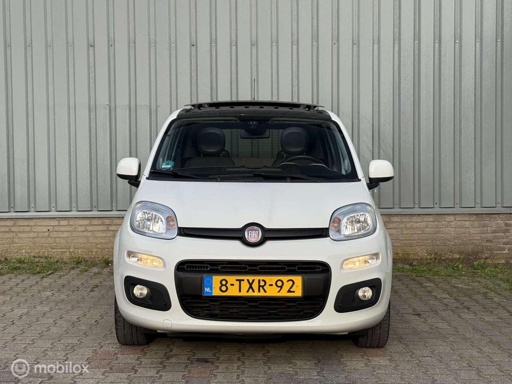 Hoofdafbeelding Fiat Panda