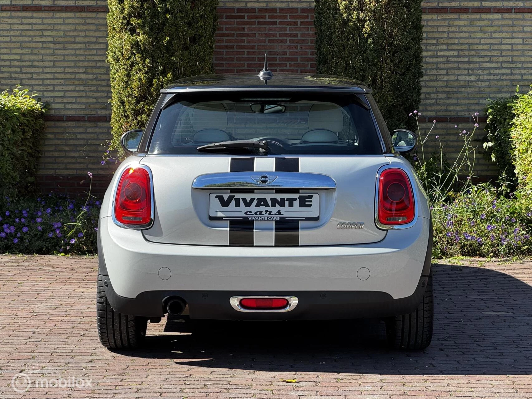 Hoofdafbeelding MINI Cooper