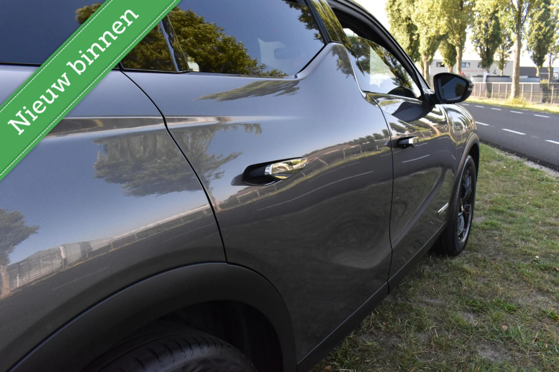 Hoofdafbeelding DS DS 3