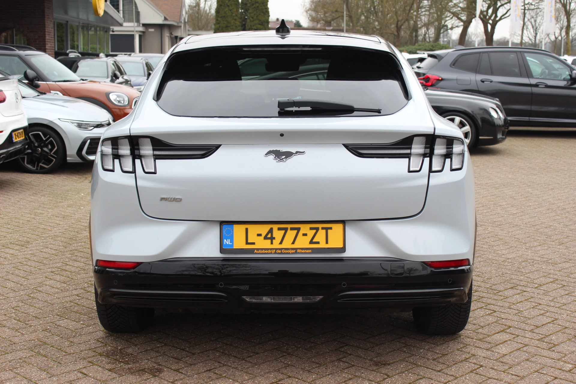 Hoofdafbeelding Ford Mustang Mach-E