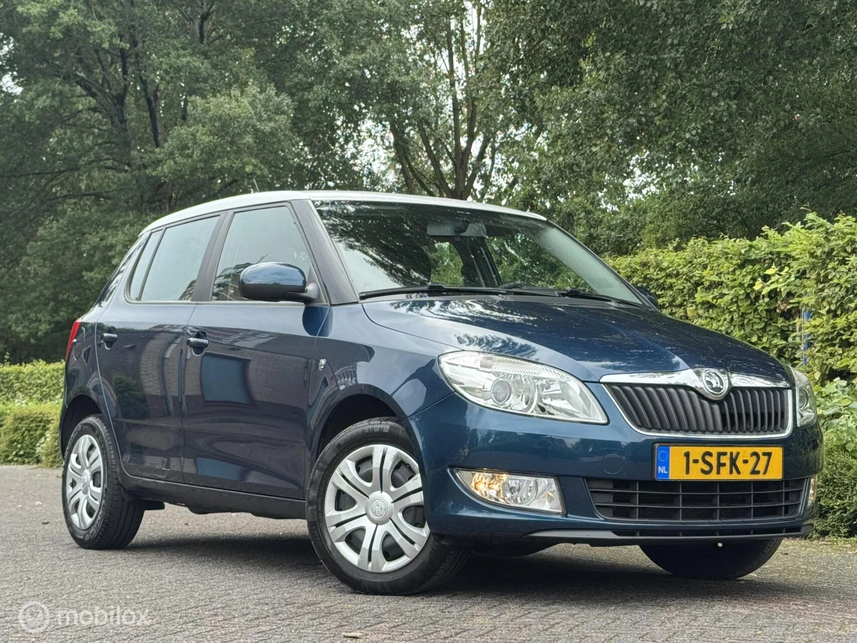 Hoofdafbeelding Škoda Fabia