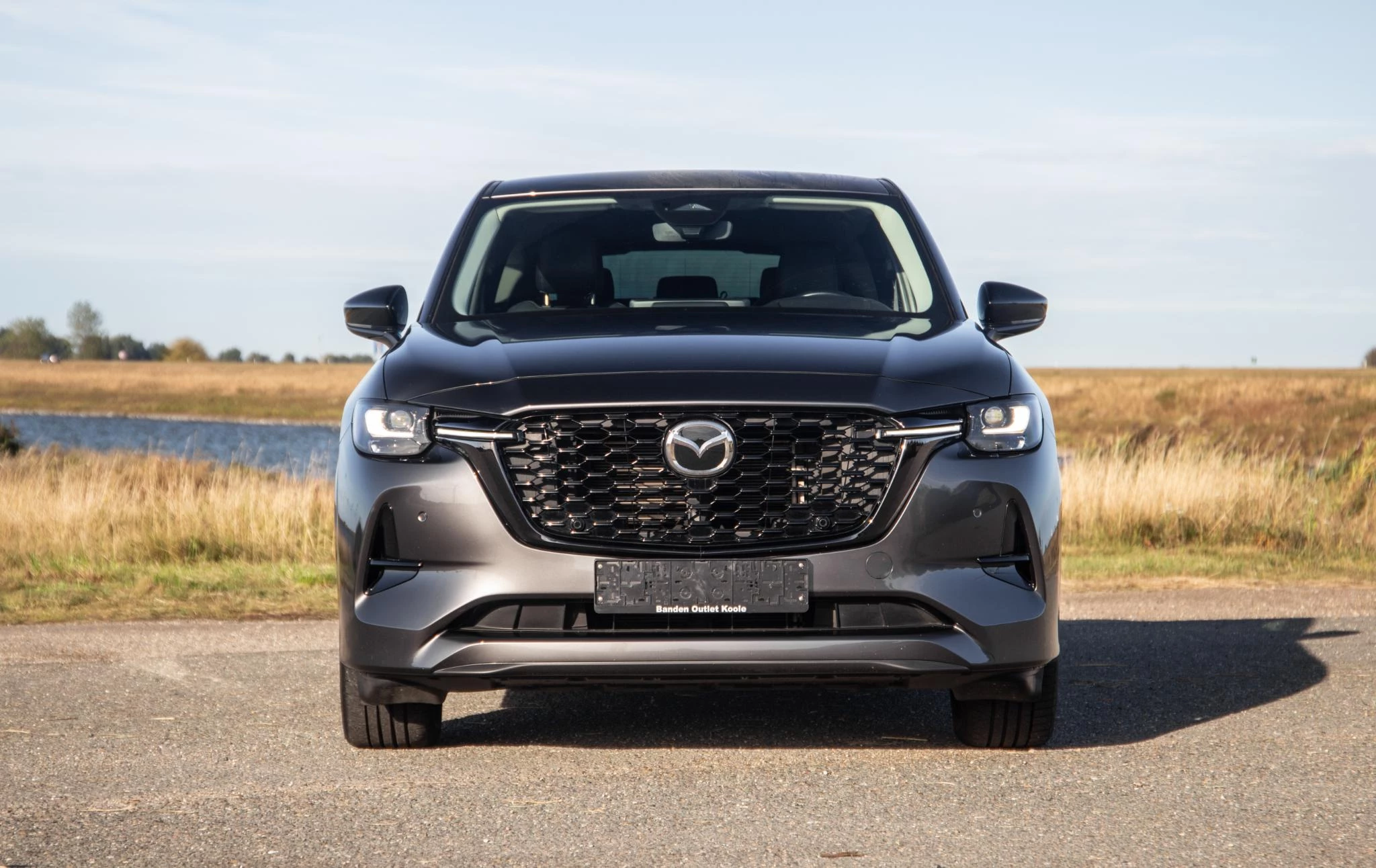 Hoofdafbeelding Mazda CX-60