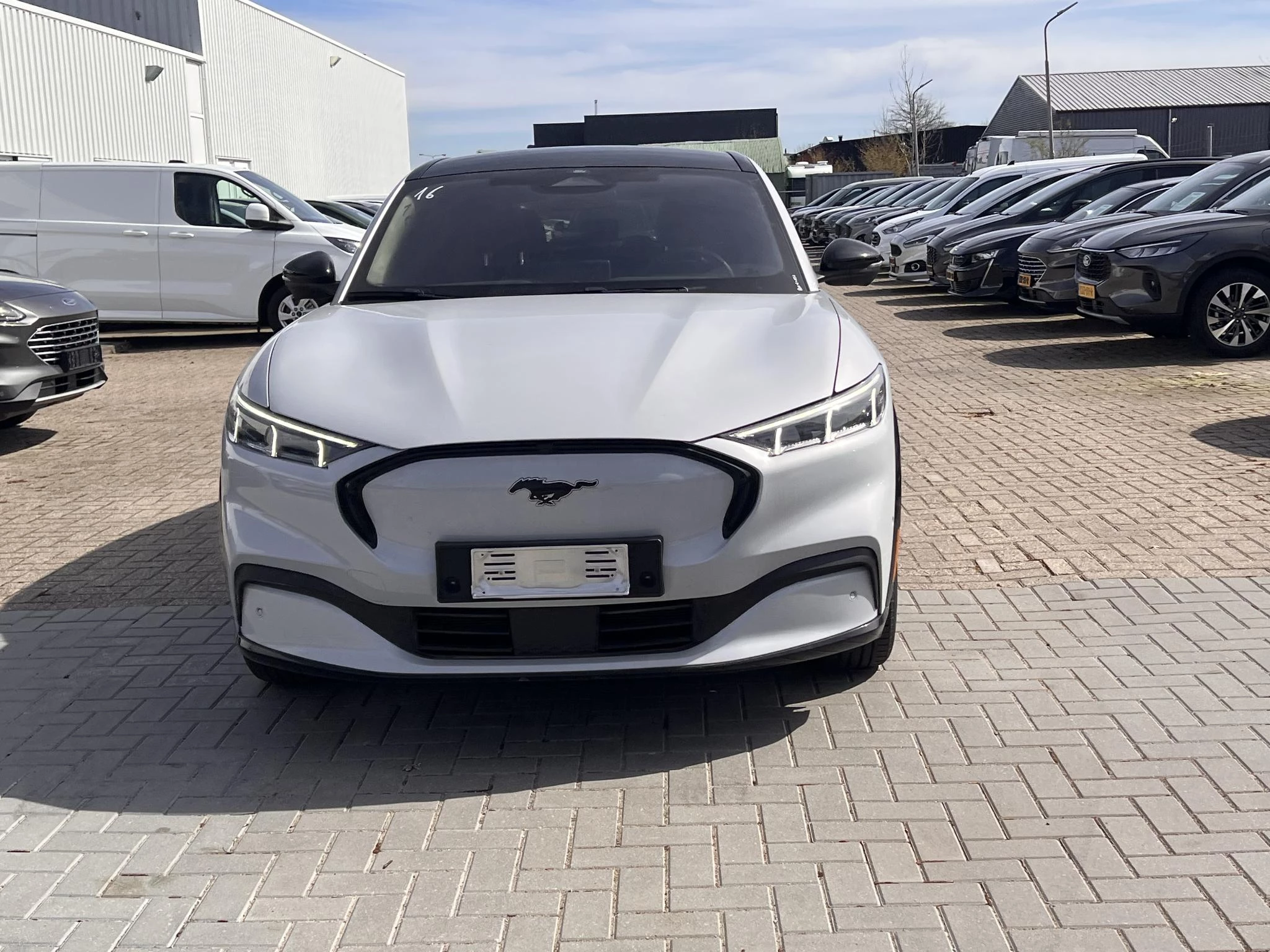 Hoofdafbeelding Ford Mustang Mach-E