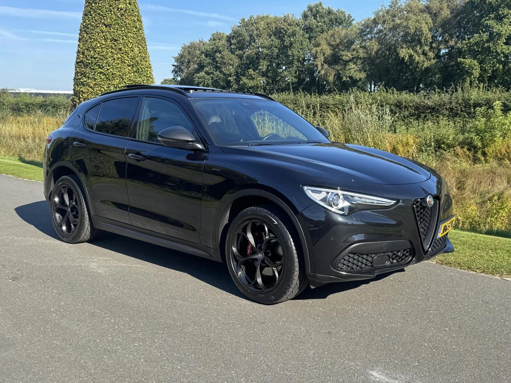 Hoofdafbeelding Alfa Romeo Stelvio