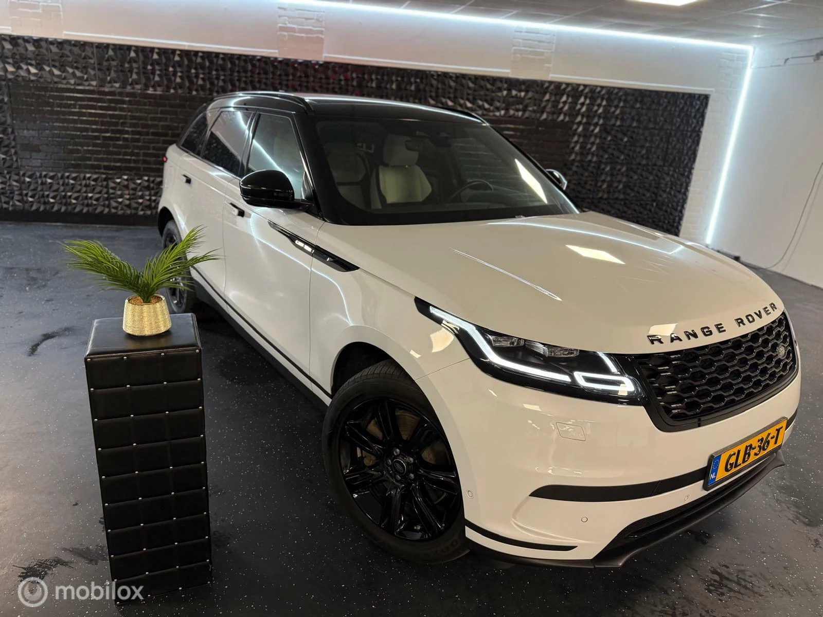 Hoofdafbeelding Land Rover Range Rover Velar