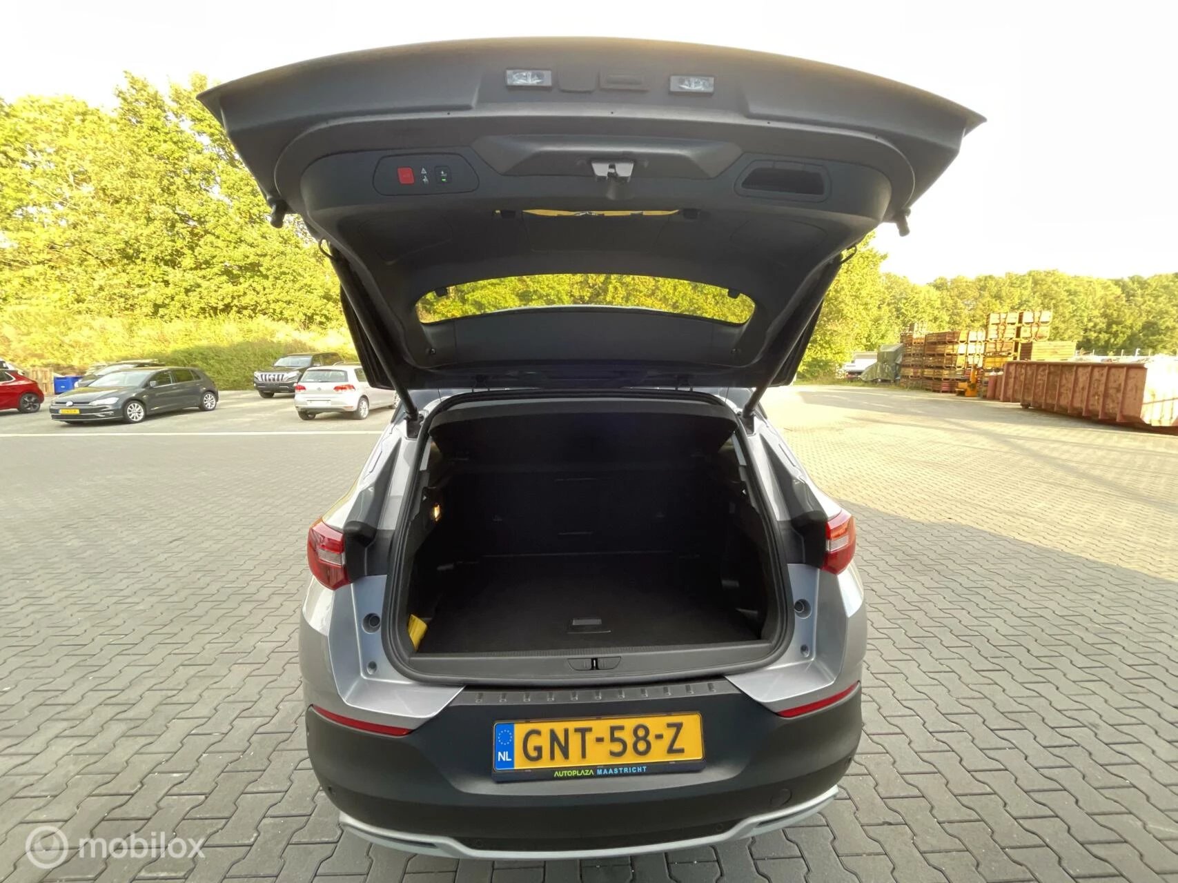 Hoofdafbeelding Opel Grandland X