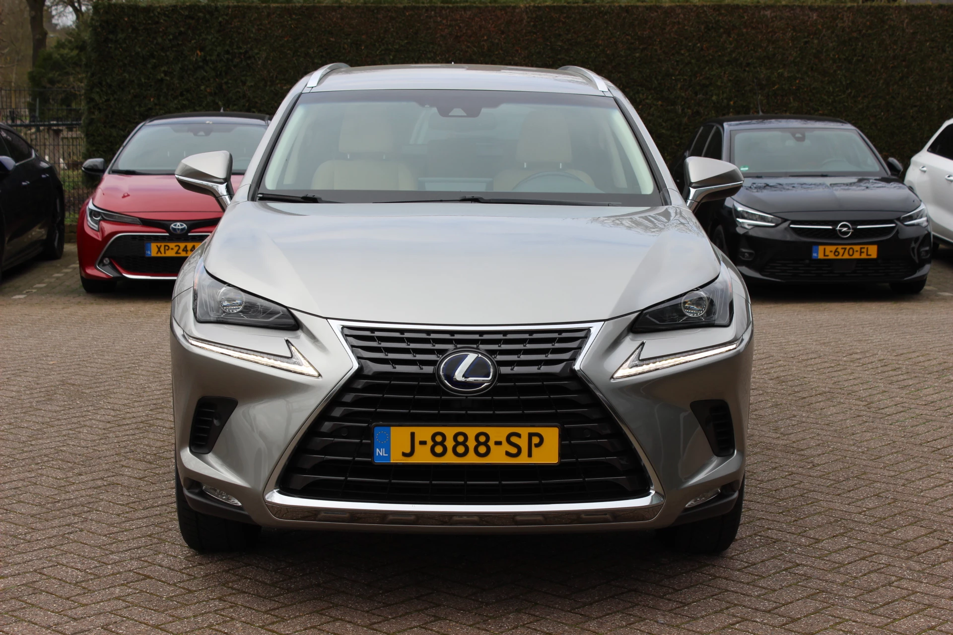 Hoofdafbeelding Lexus NX