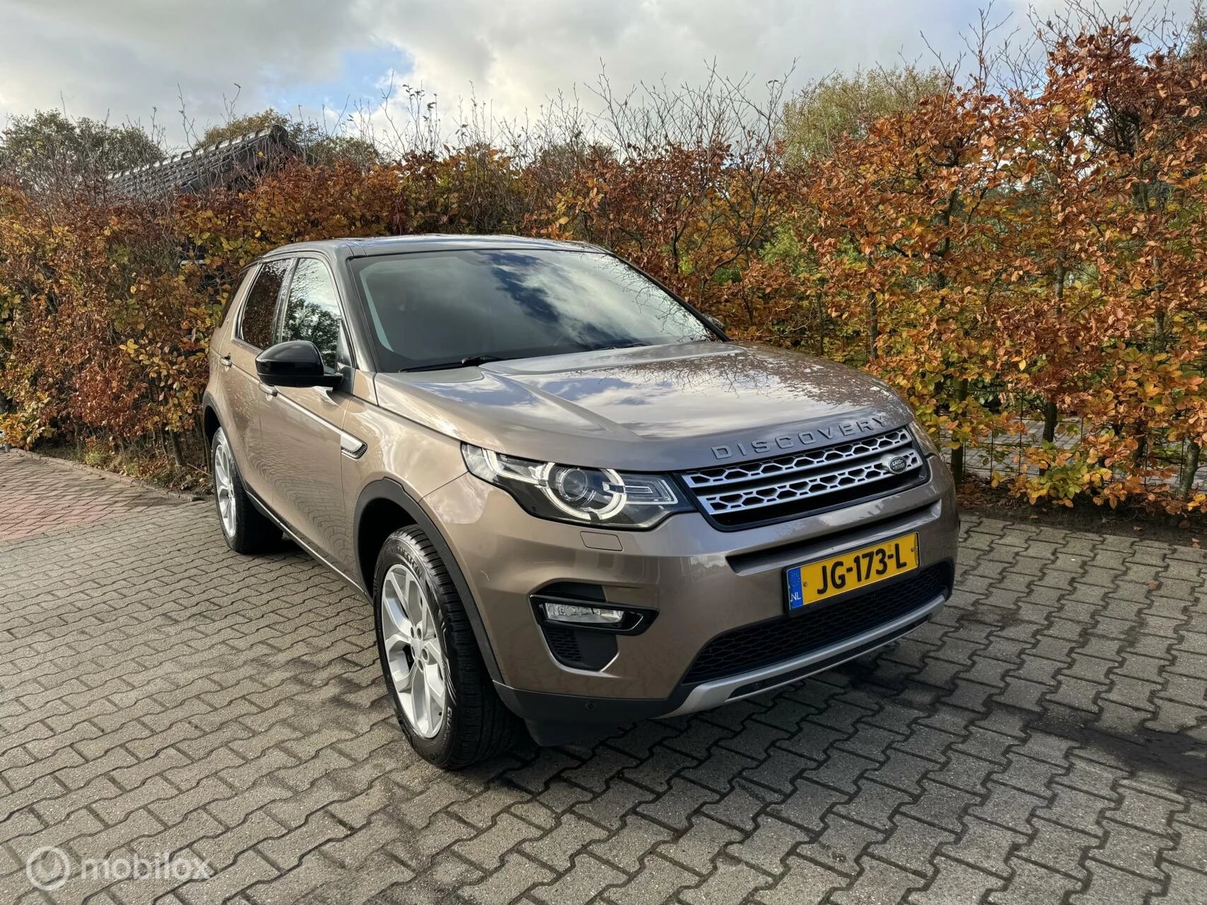 Hoofdafbeelding Land Rover Discovery Sport