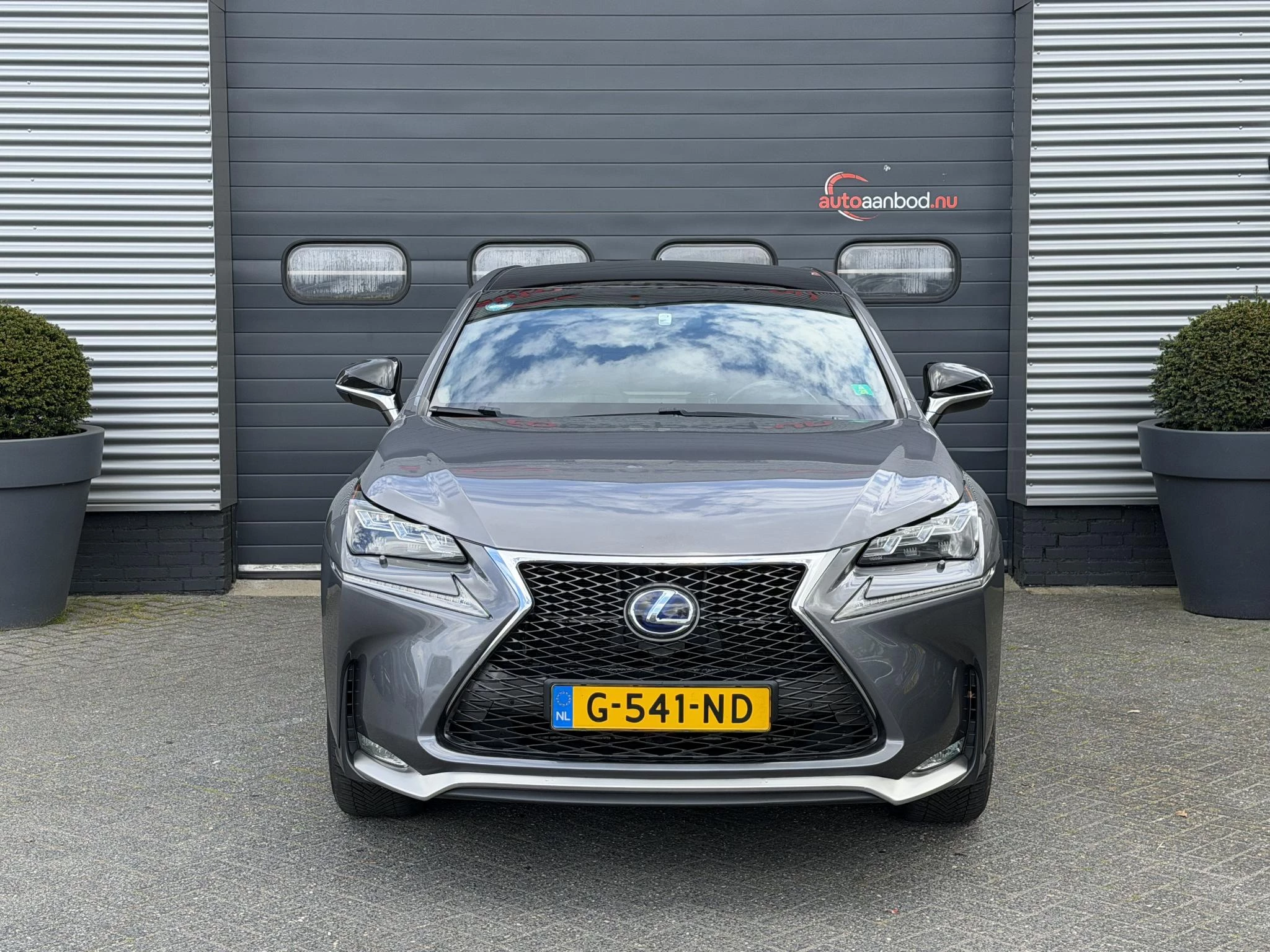 Hoofdafbeelding Lexus NX