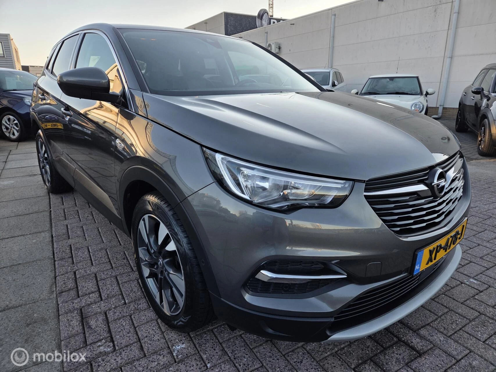 Hoofdafbeelding Opel Grandland X