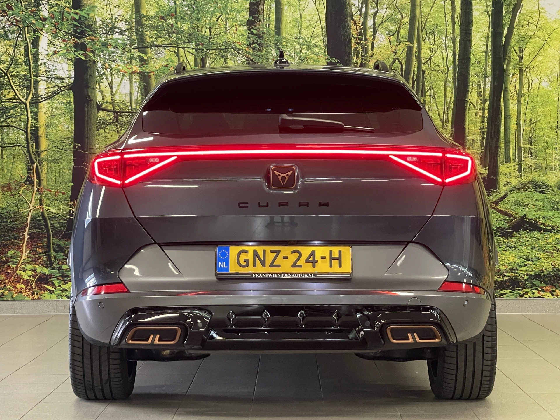 Hoofdafbeelding CUPRA Formentor
