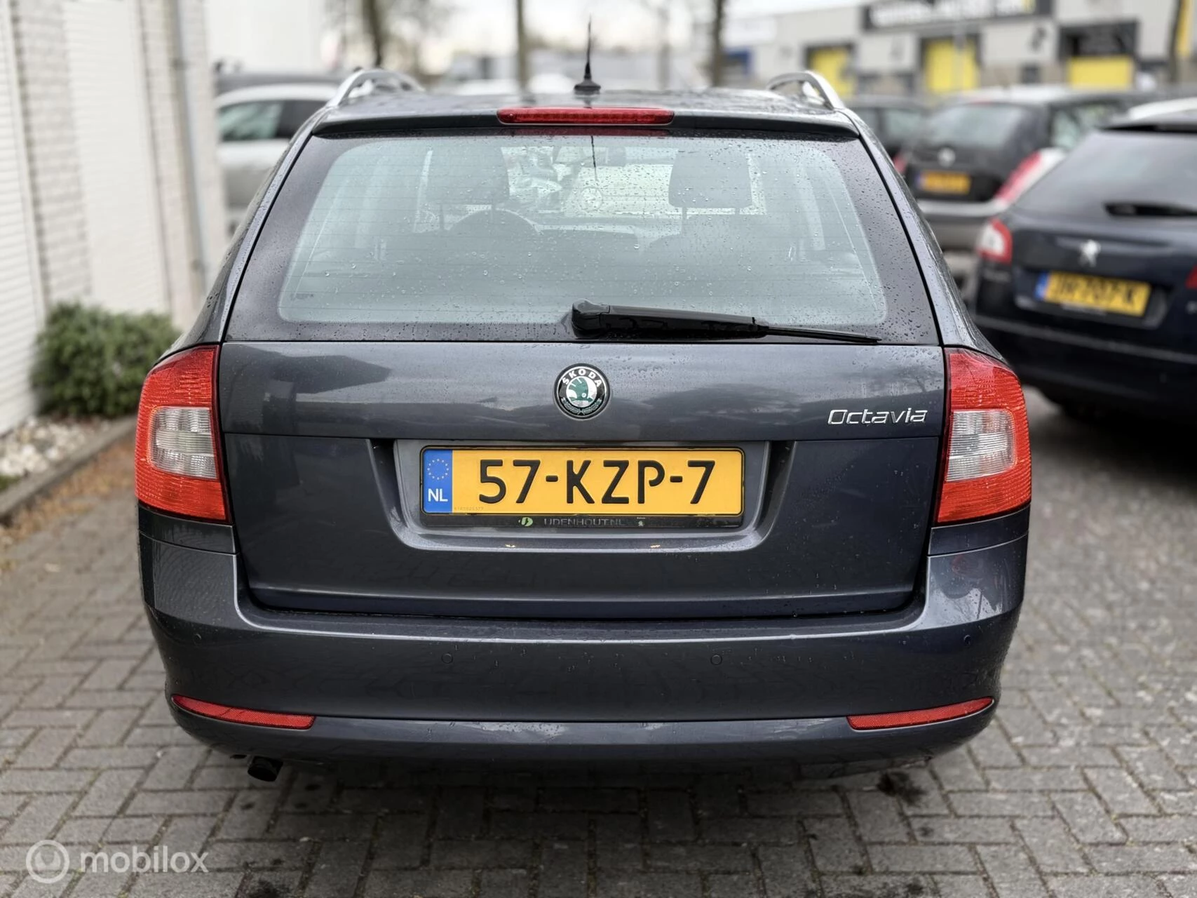 Hoofdafbeelding Škoda Octavia