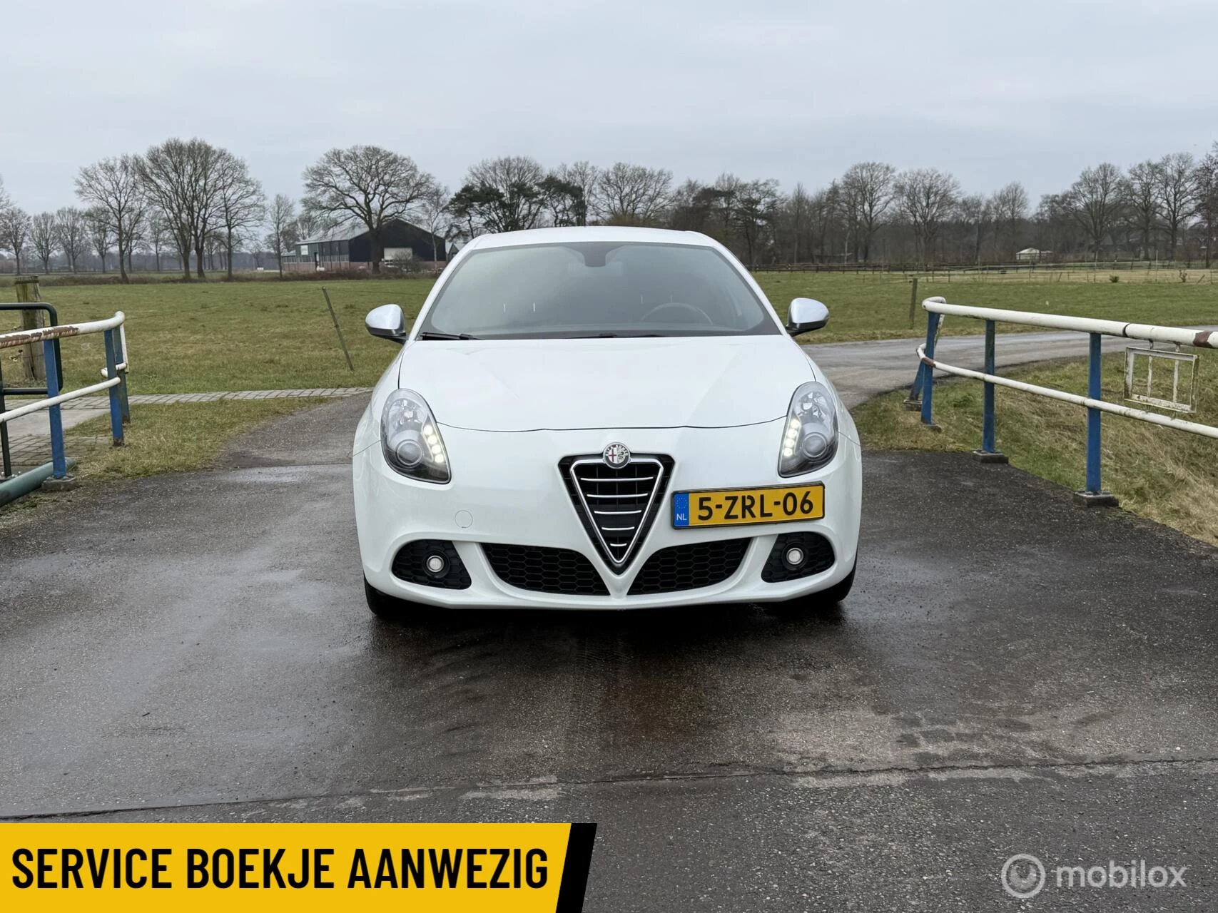 Hoofdafbeelding Alfa Romeo Giulietta