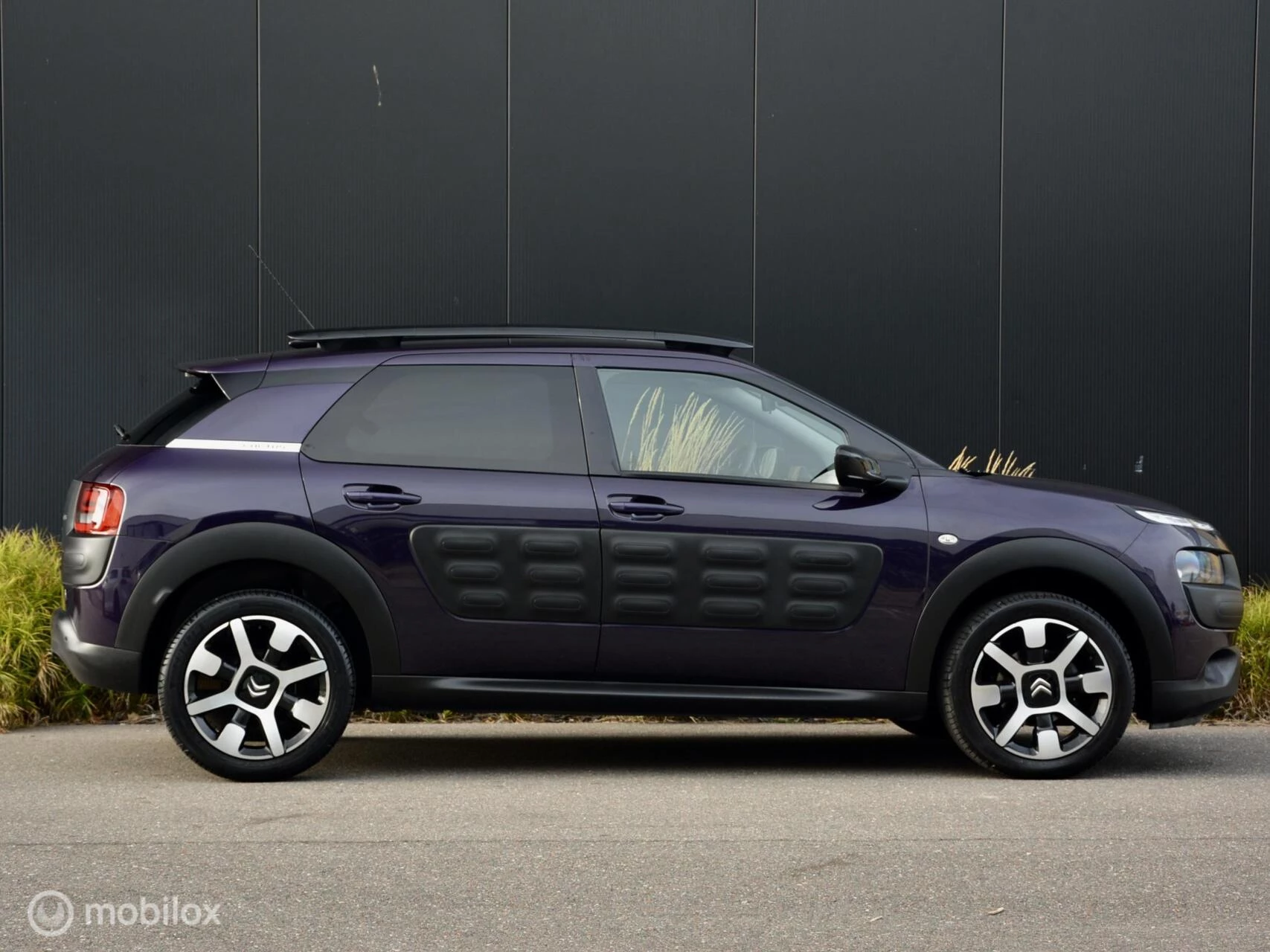 Hoofdafbeelding Citroën C4 Cactus