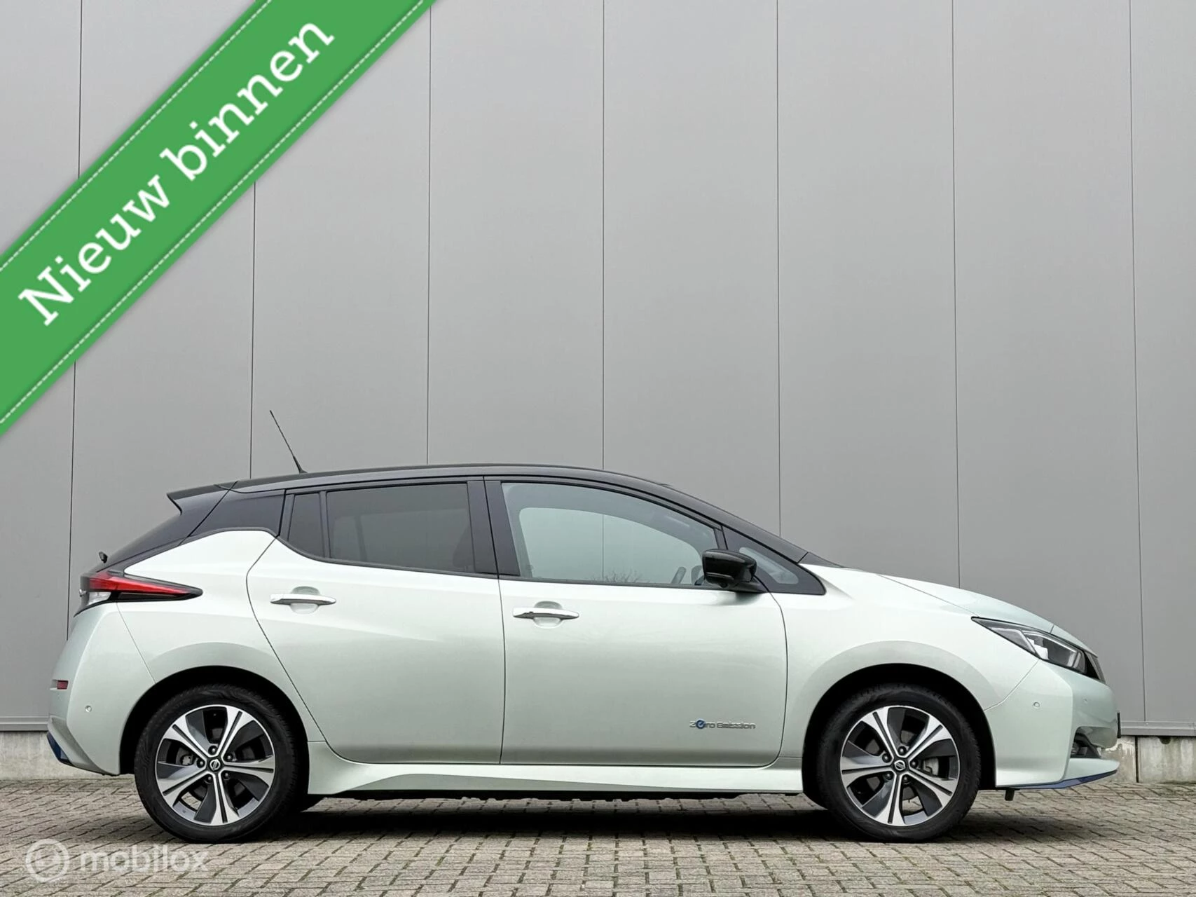 Hoofdafbeelding Nissan Leaf